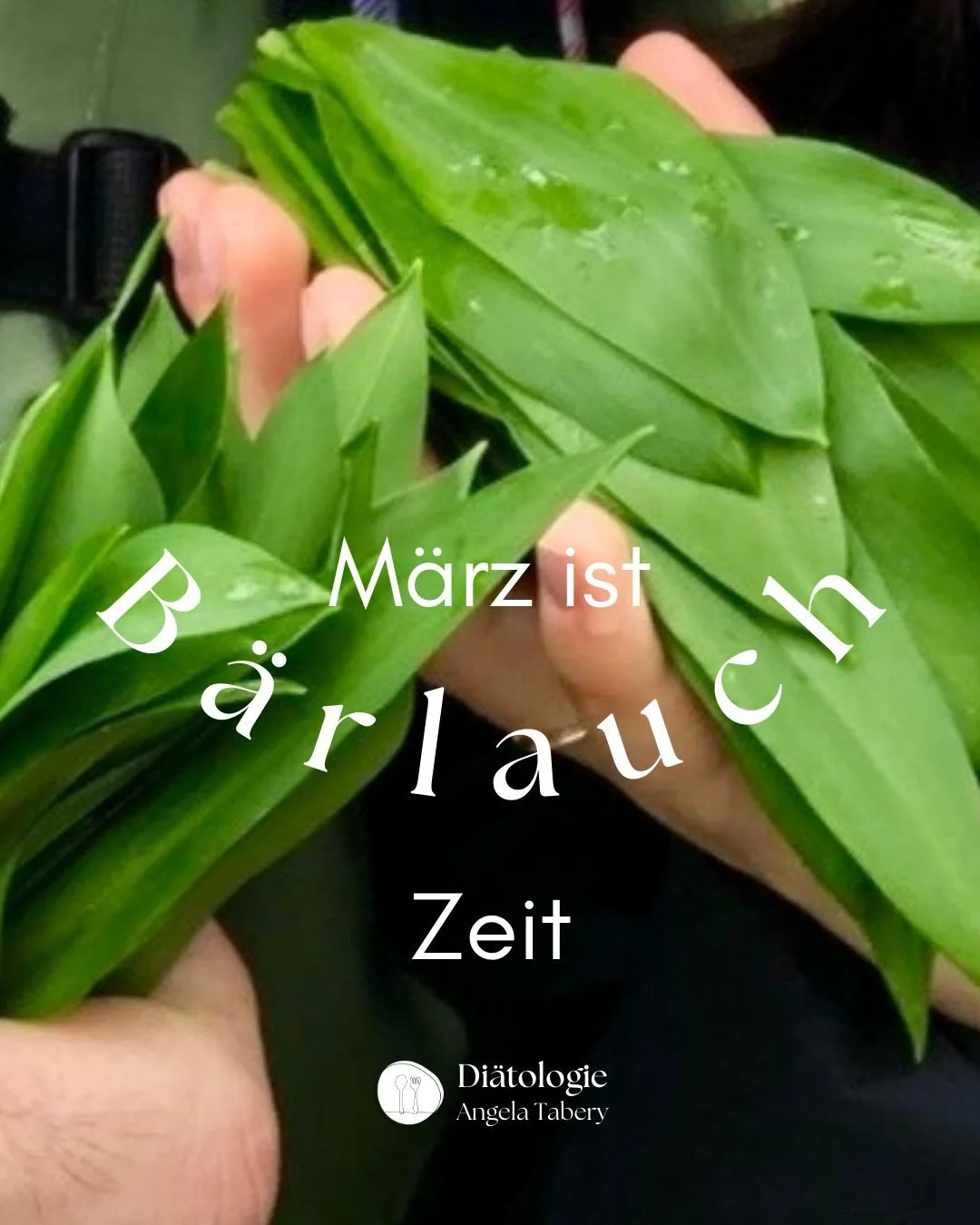 🌱 B&auml;rlauch - das gr&uuml;ne Kraftpaket im Fr&uuml;hling

Genau jetzt ist B&auml;rlauch-Zeit - schon gepfl&uuml;ckt?

B&auml;rlauch liefert:
✨ Vitamin C
✨ sekund&auml;re Pflanzenstoffe
✨ Eisen
✨ Magnesium

👉 Mein Tipp als Di&auml;tologin:
Perfe