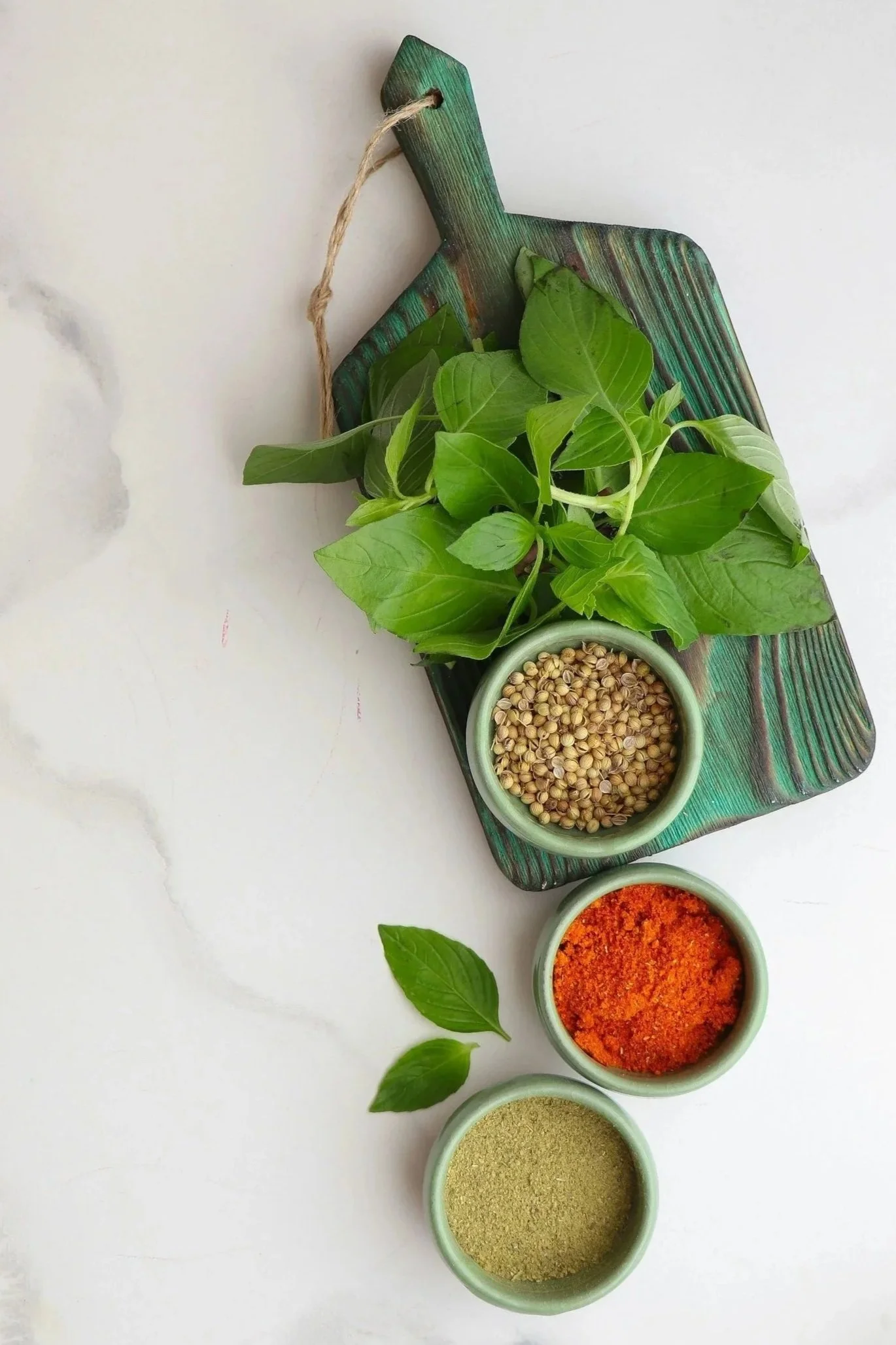 Frische Kräuter und Gewürze auf weißem Hintergrund