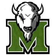 Logo featuring a buffalo head in front of a large green letter N.