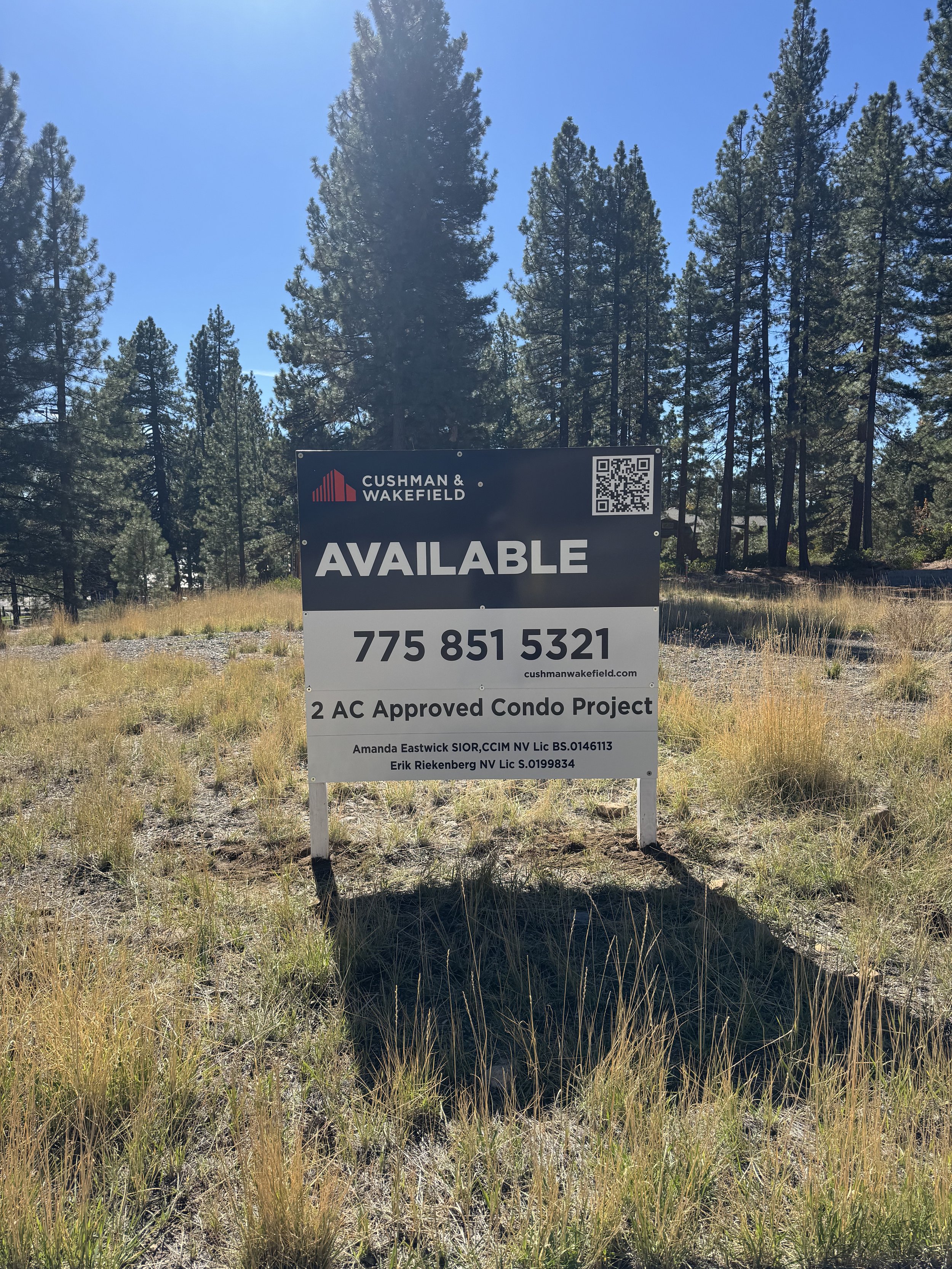 Sign advertising a property for sale by Cushman & Wakefield, with a phone number, website, and details about a condo project, set in a grassy, wooded area with tall pine trees under a clear blue sky.