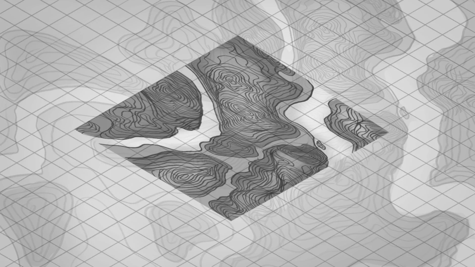 A topographic map with contour lines displayed on a three-dimensional grid.