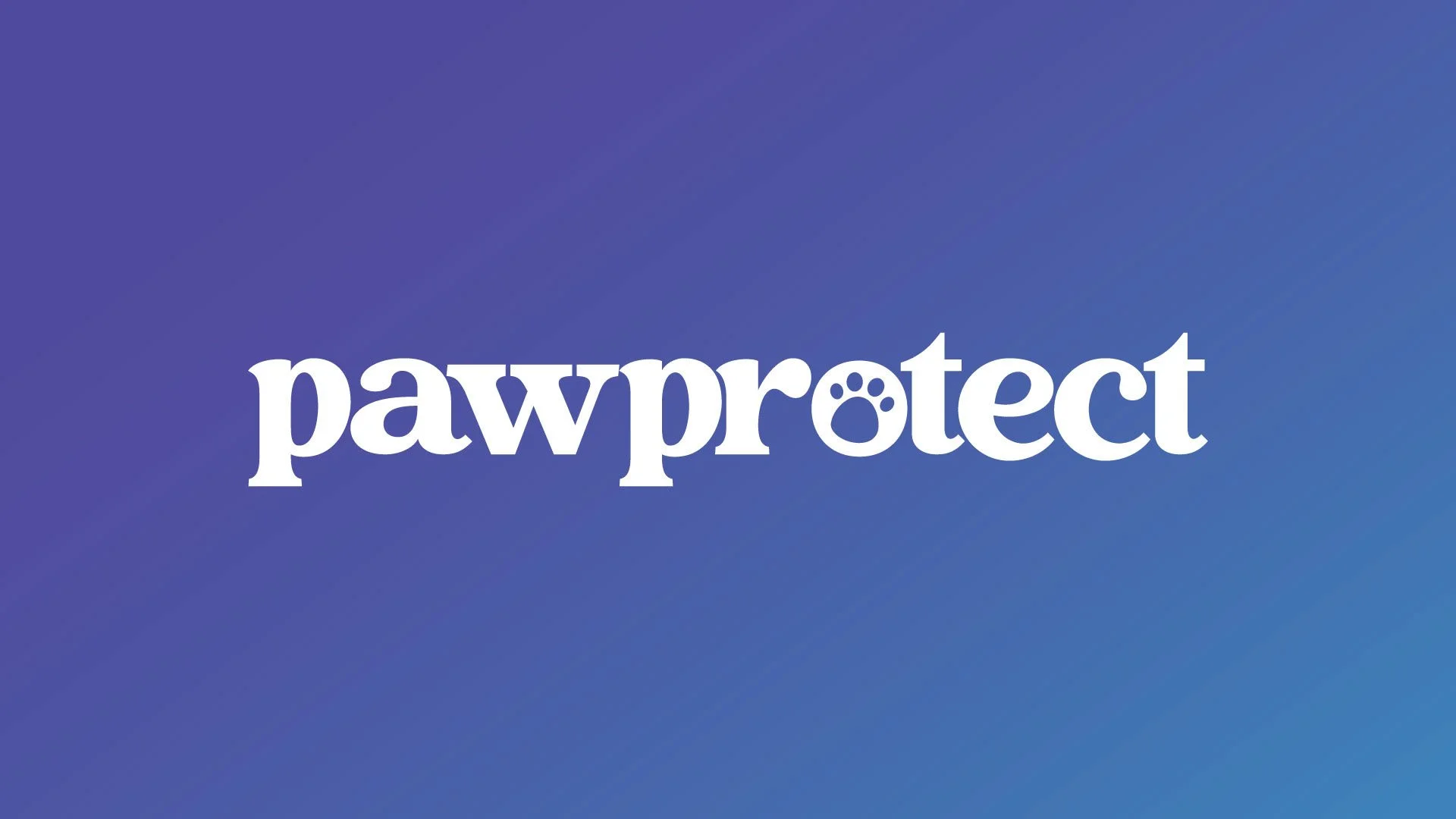 2D explainer illustration created for PawProtect explaining pet insurance through friendly visual design.