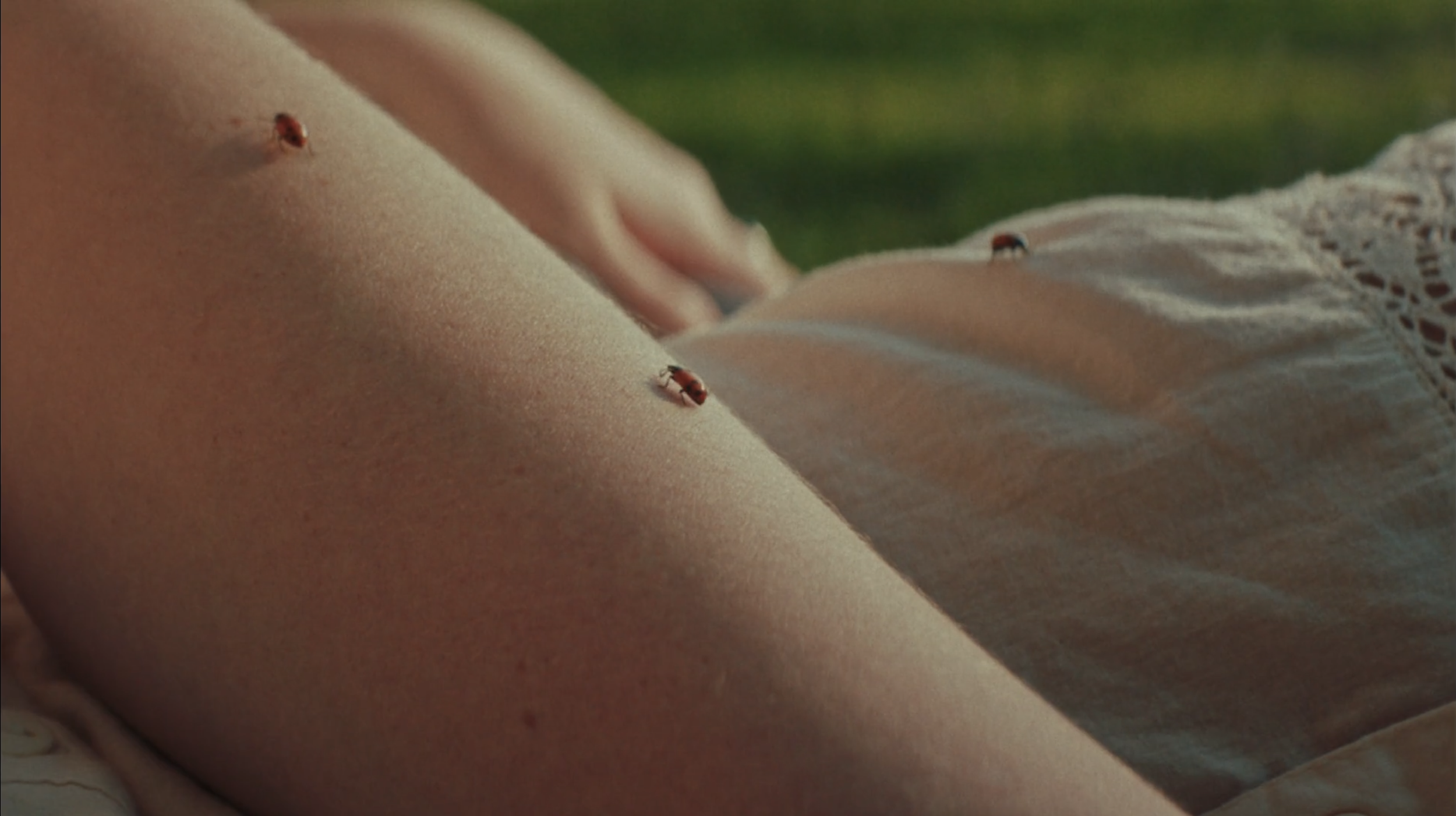 Screen Shot 2025-12-17 at 12.03.50 PM.png