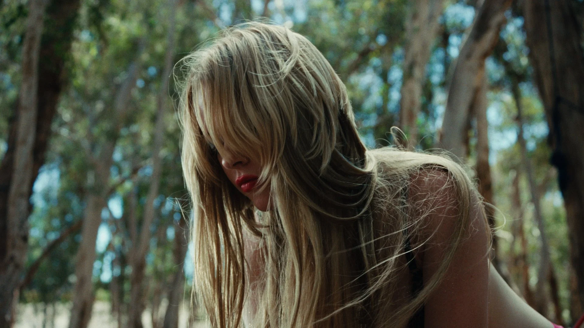 Still 2025-12-28 221451_1.9.1.jpg