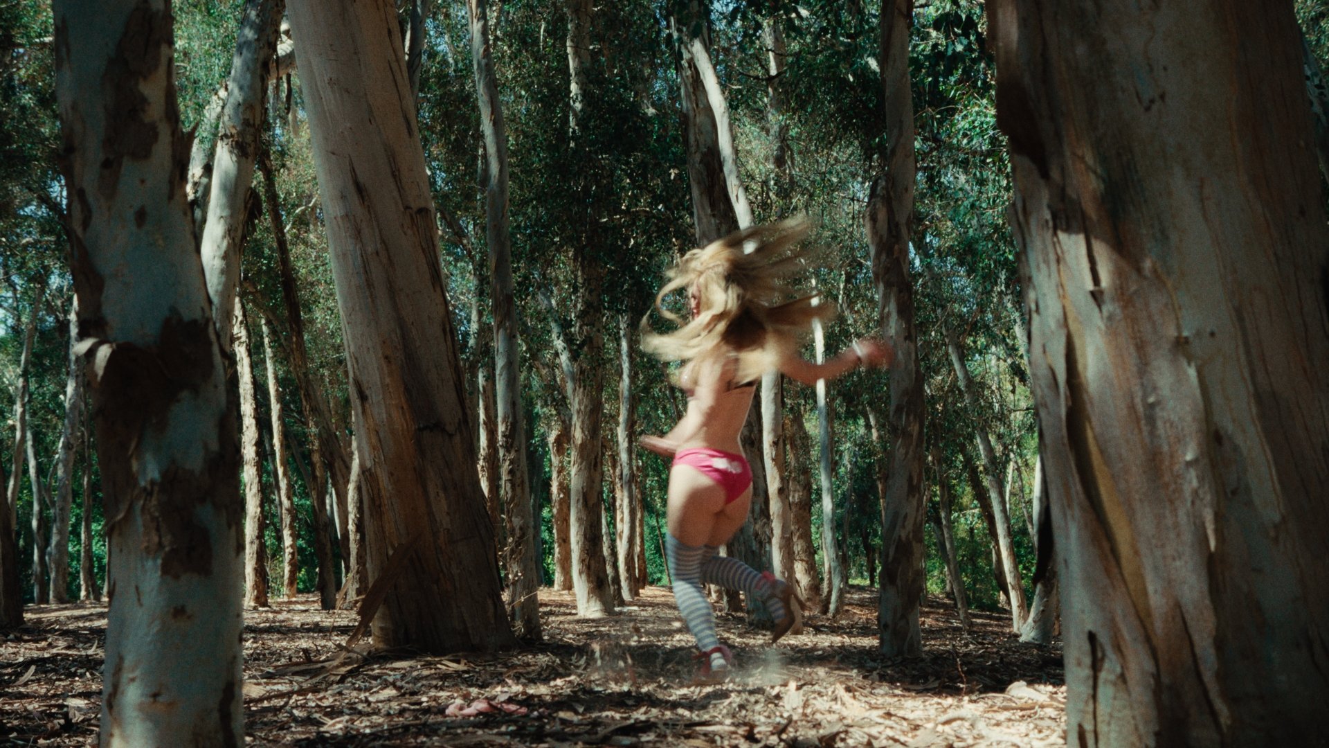 Still 2025-12-28 221451_1.78.1.jpg