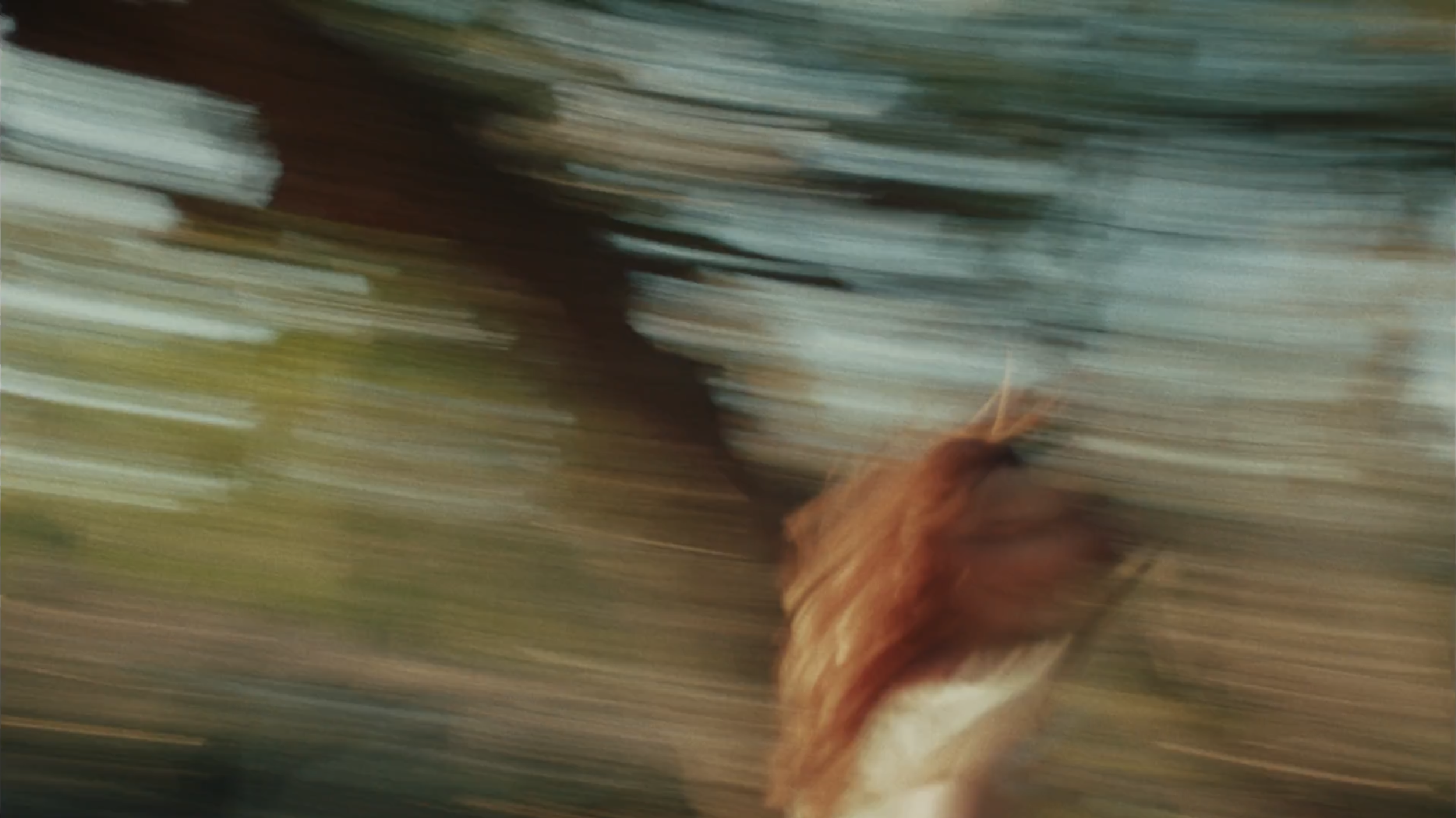 Screen Shot 2025-12-17 at 12.03.11 PM.png