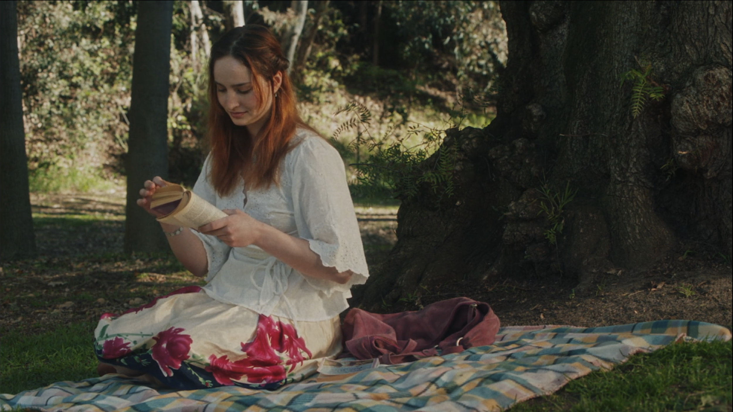 Screen Shot 2025-12-17 at 11.55.24 AM.png