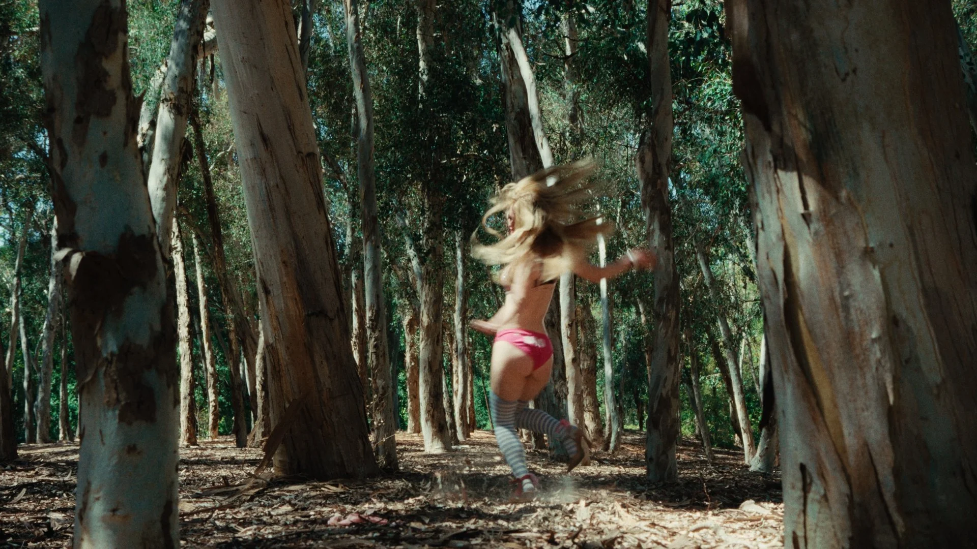 Still 2025-12-28 221451_1.78.1.jpg