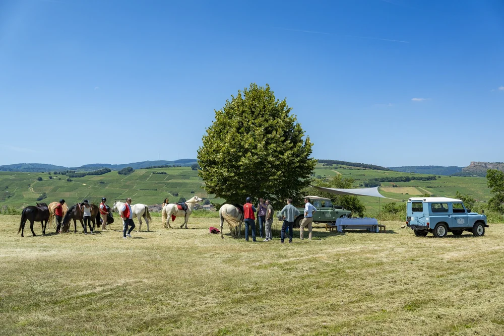 Riders setting off through the vineyards