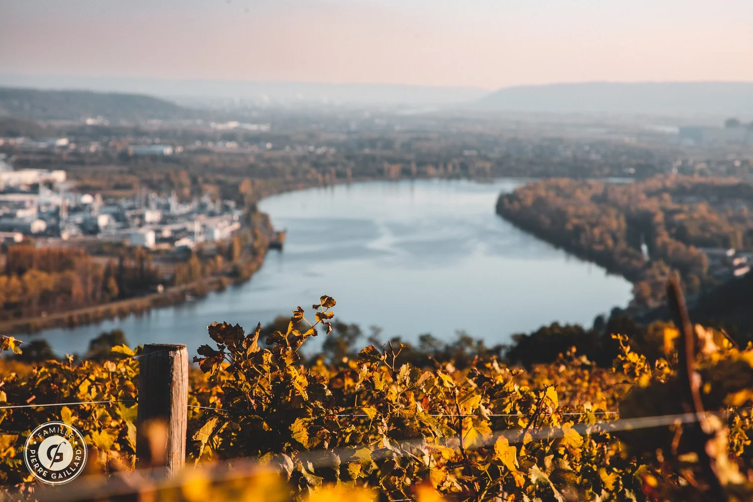 Domaine viticole des Côtes du Rhône septentrionales