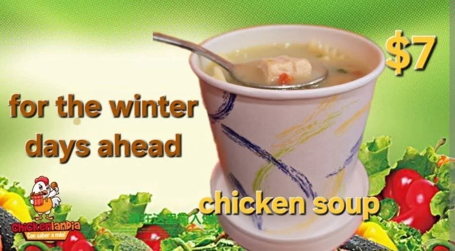 Chickenlandia USA Chicken Soup