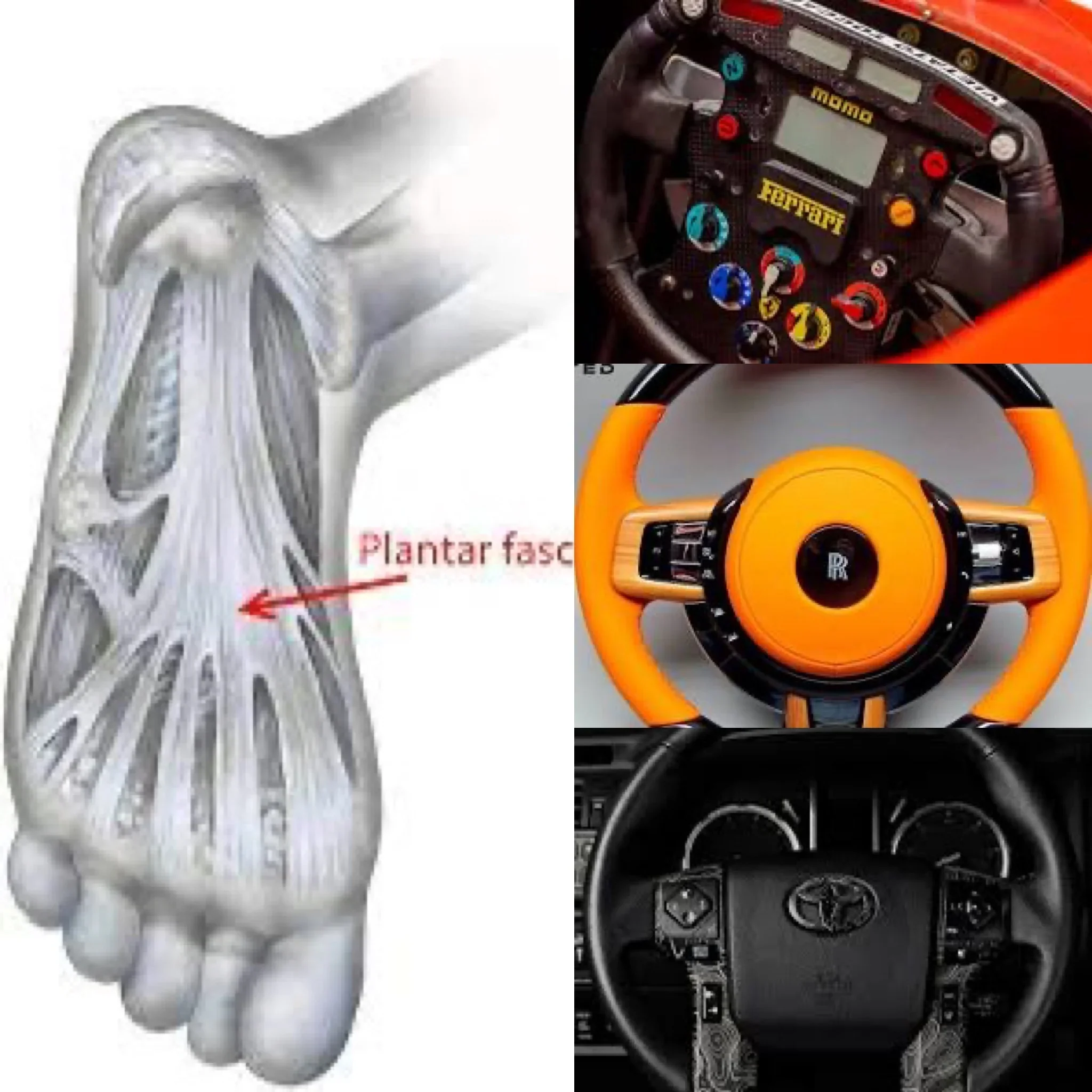 Exercise the steering wheel 