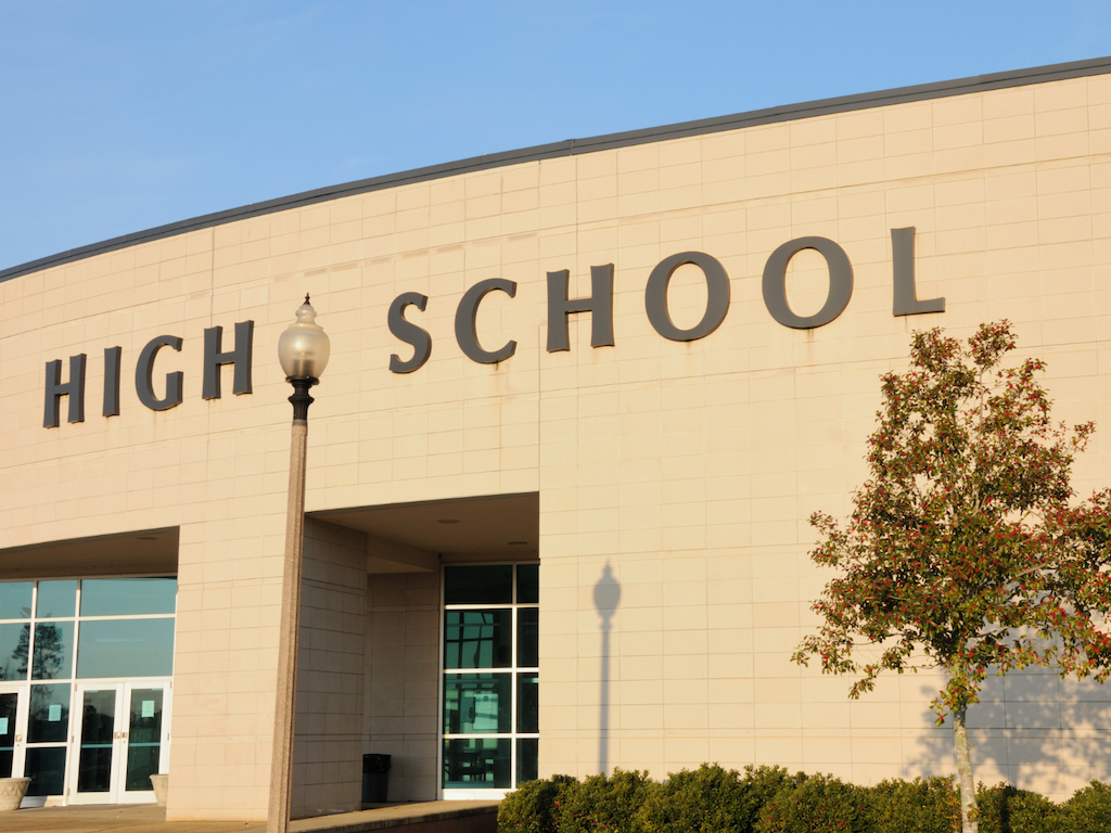 independent school consultant