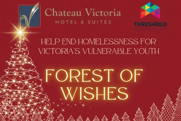 Forest of Wishes 2024