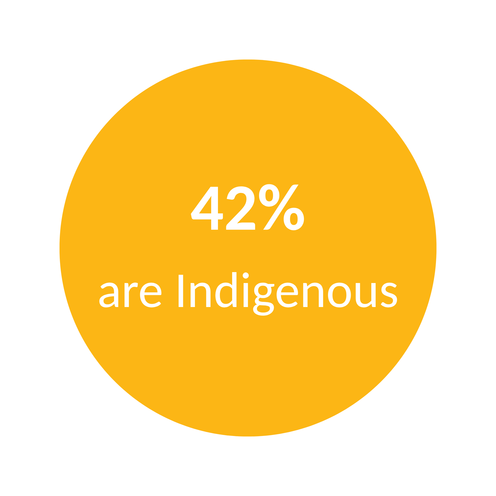 Yellow circular chart showing 42%, titled 'are Indigenous'.