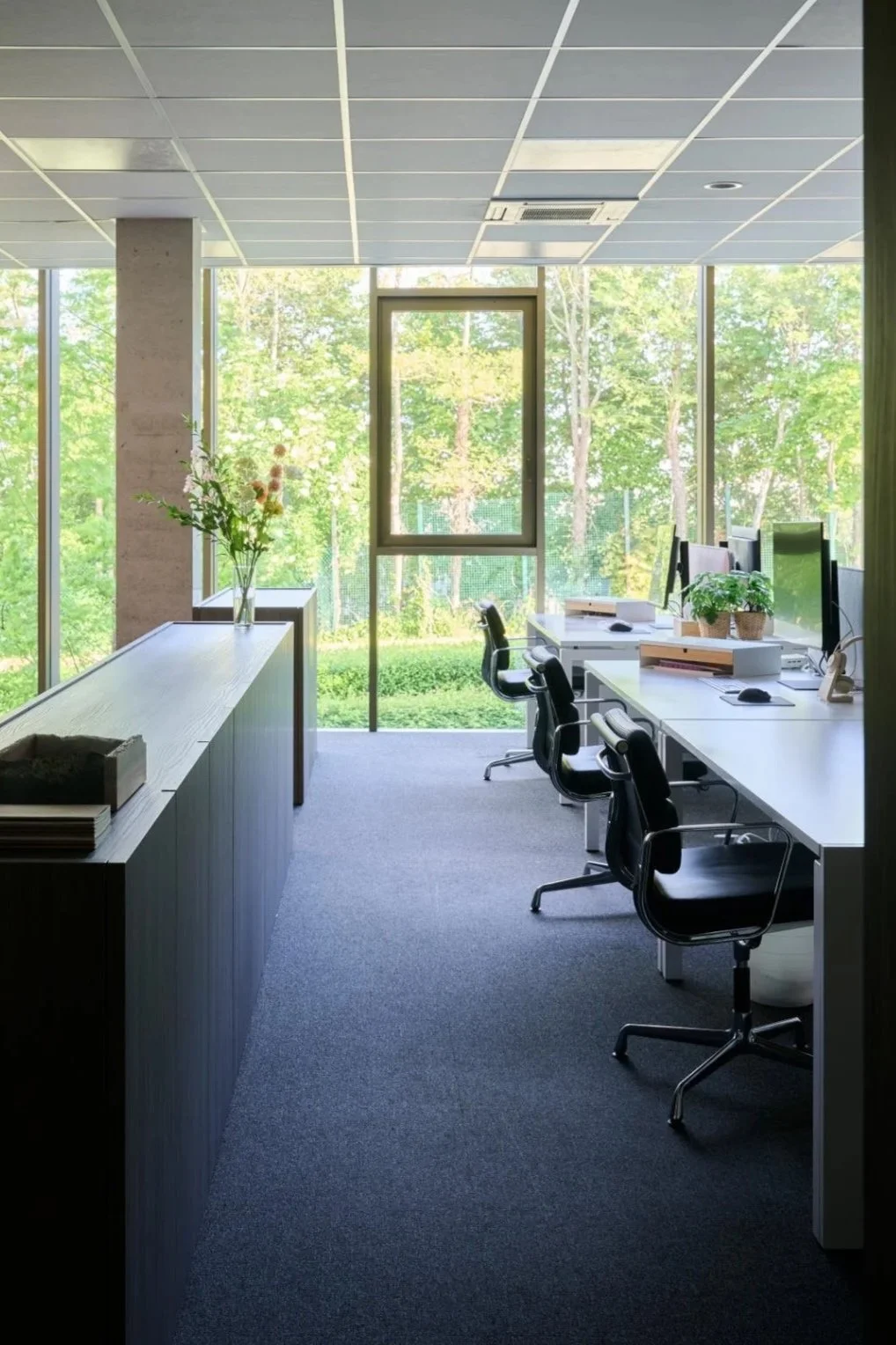 Bureaudestadsbader, office StellaP.