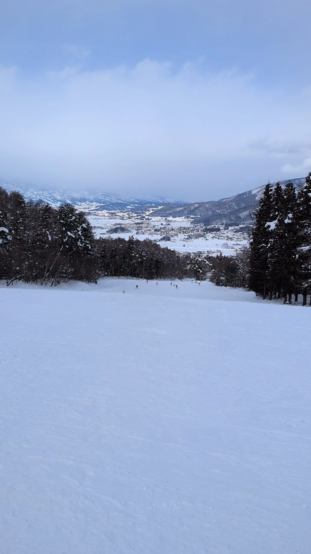 What Can We Learn from Snowflakes? Analyzing Japan's Winter Climate