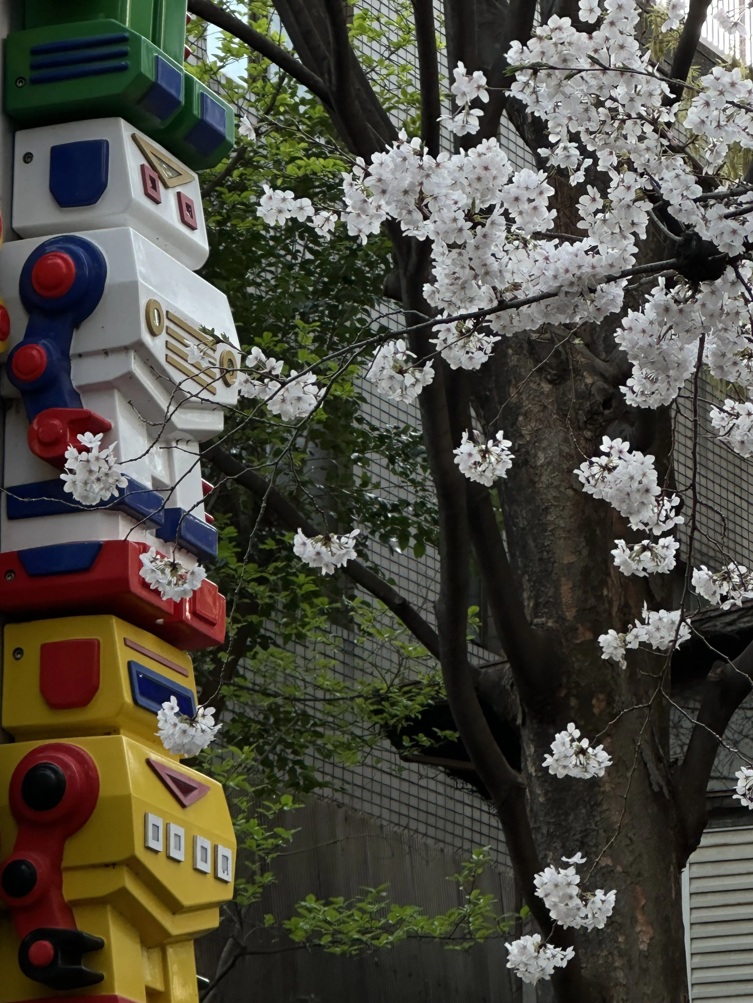 A vertical sculpture of a robots totem pole stands in the middle of a park with blooming cherry blooms in Tokyo Japan.