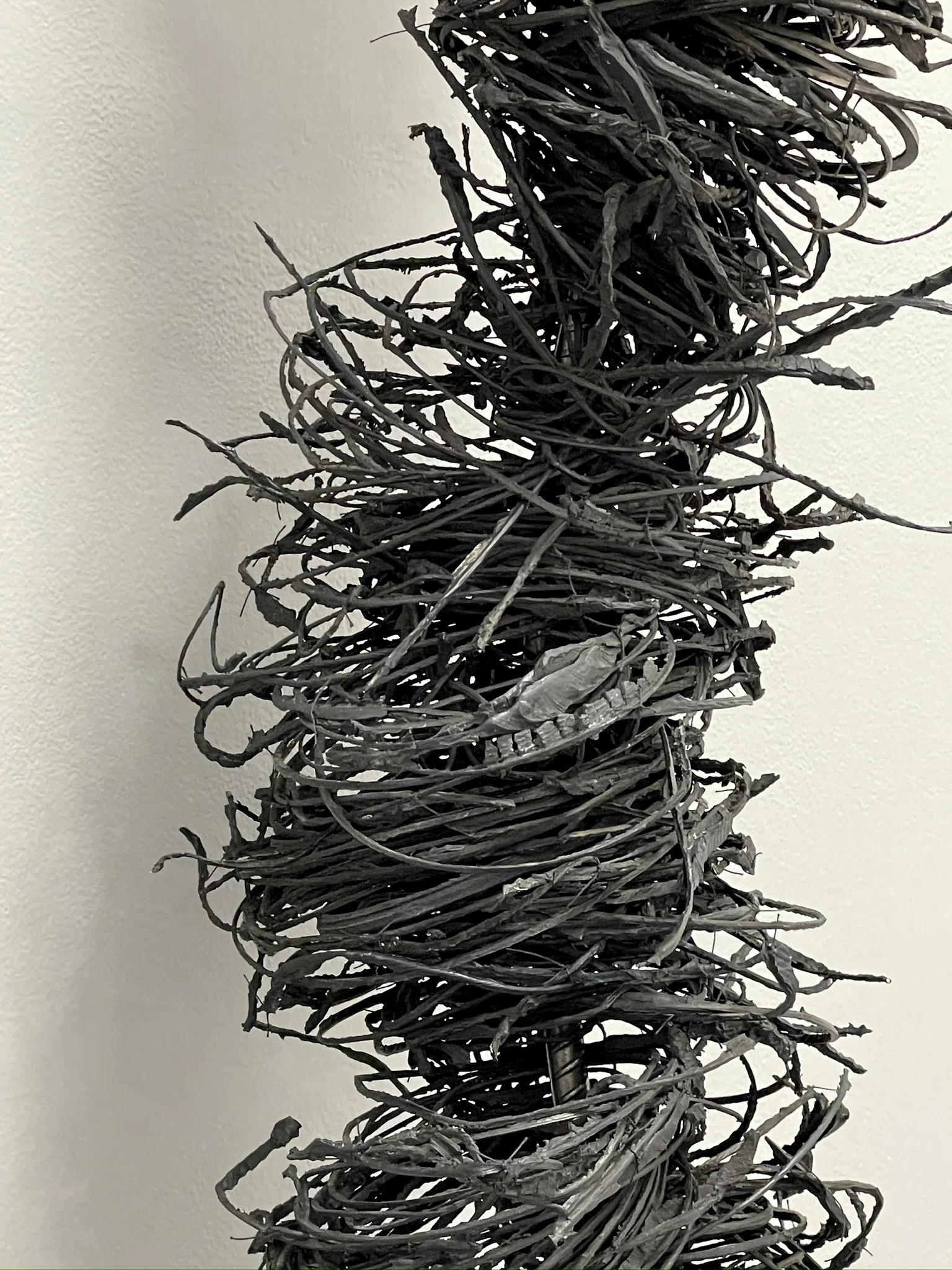 Judith-Shaw_4-8-2024 (3) 2.jpeg