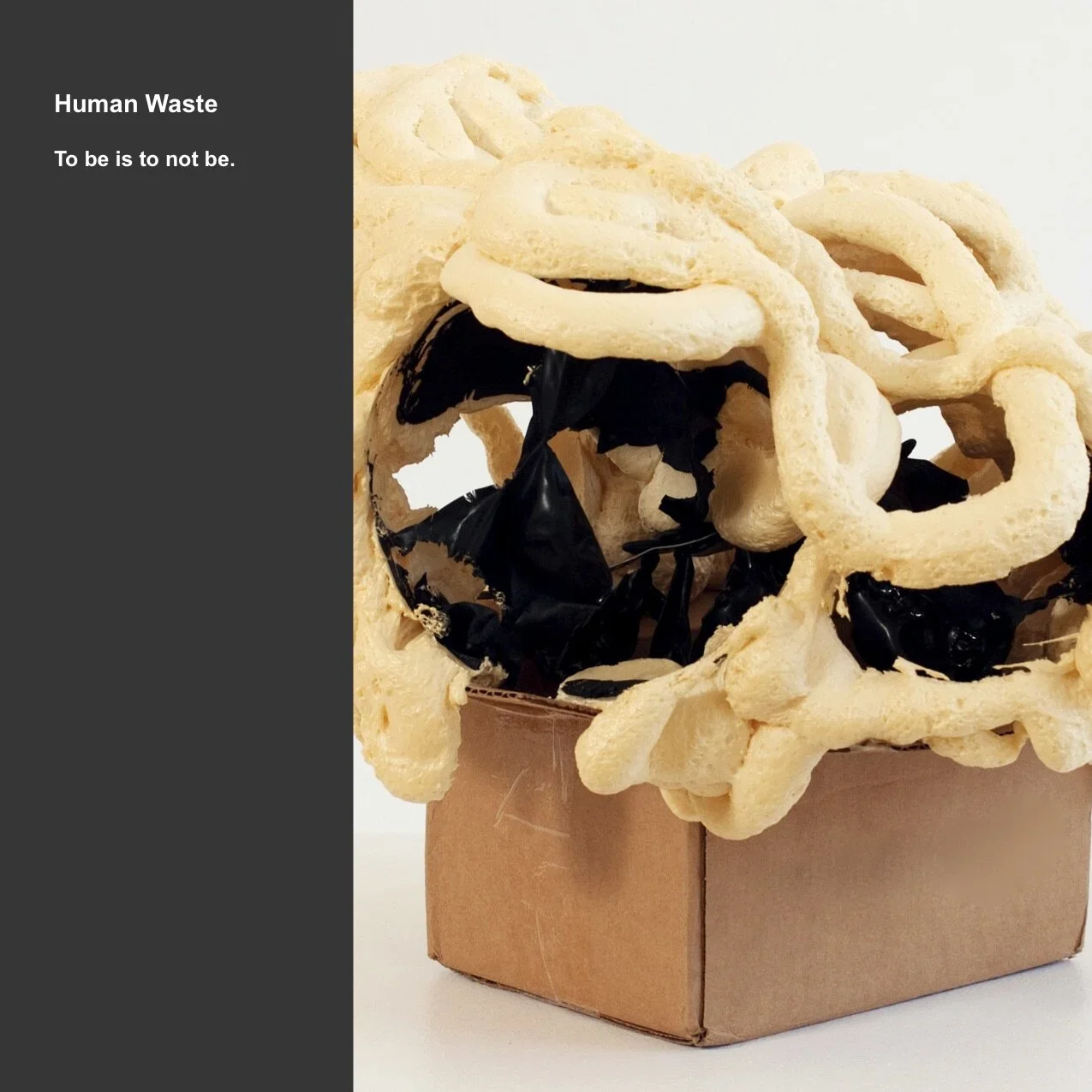 Human+Waste+3.webp