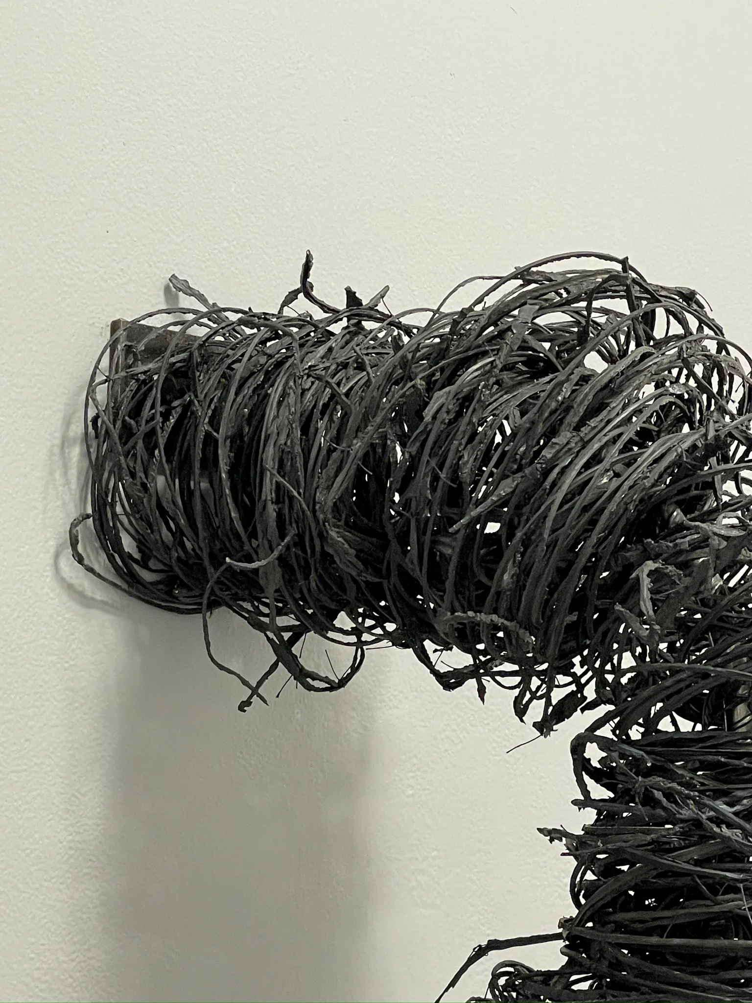 Judith-Shaw_4-8-2024 (4).jpeg