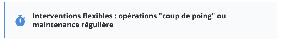 Texte indiquant des interventions flexibles : opérations 'coup de poing' ou maintenance régulière.