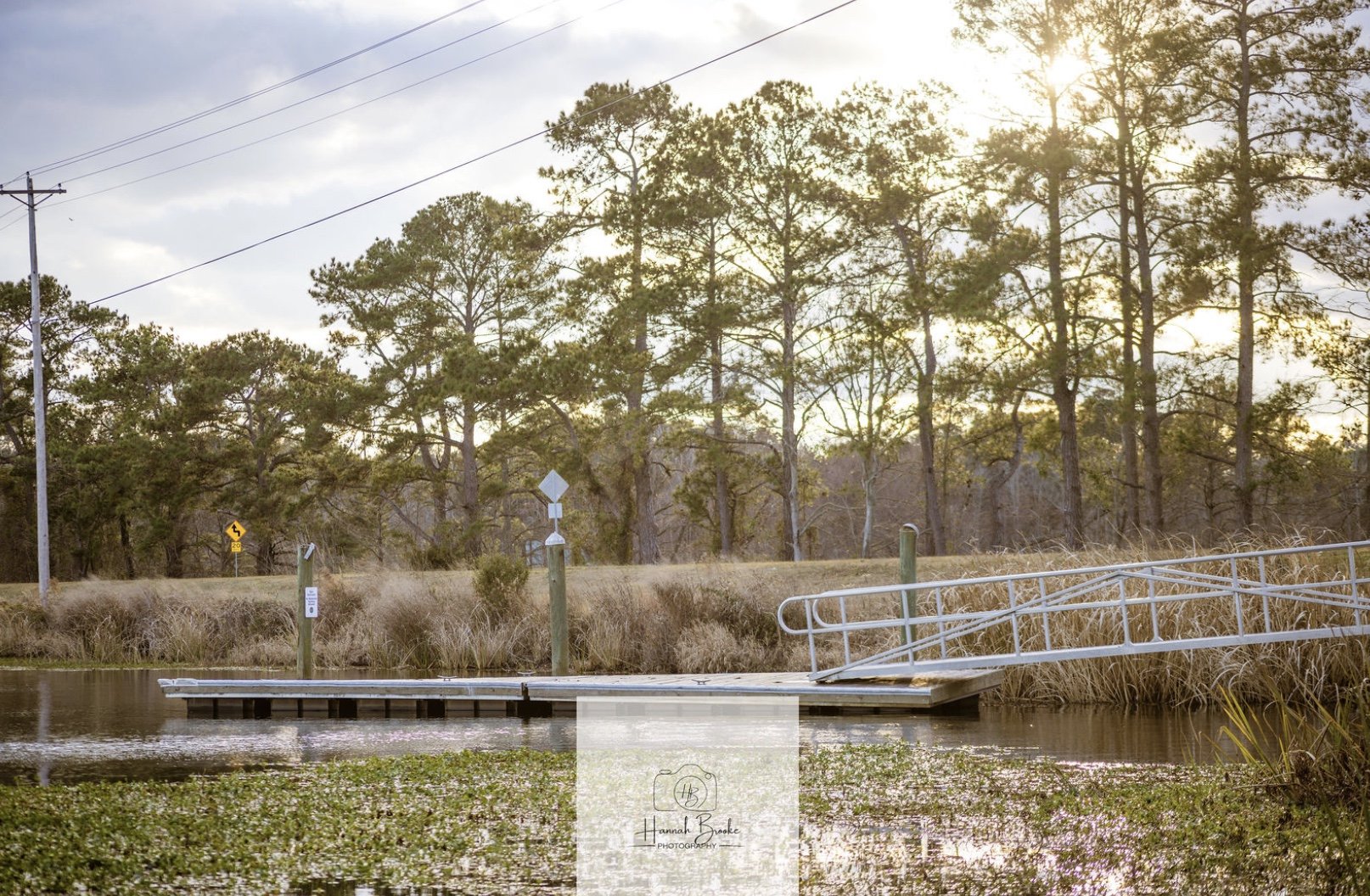 Lake Marion EDUCATIONAL NATURE PHOTOGRAPHY WALKS & CLASSES