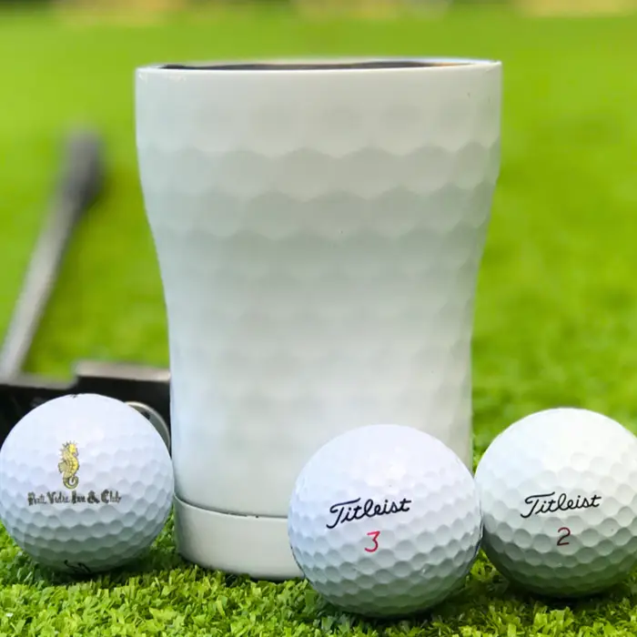 SIC Cups- Premium insulated Drink Wear