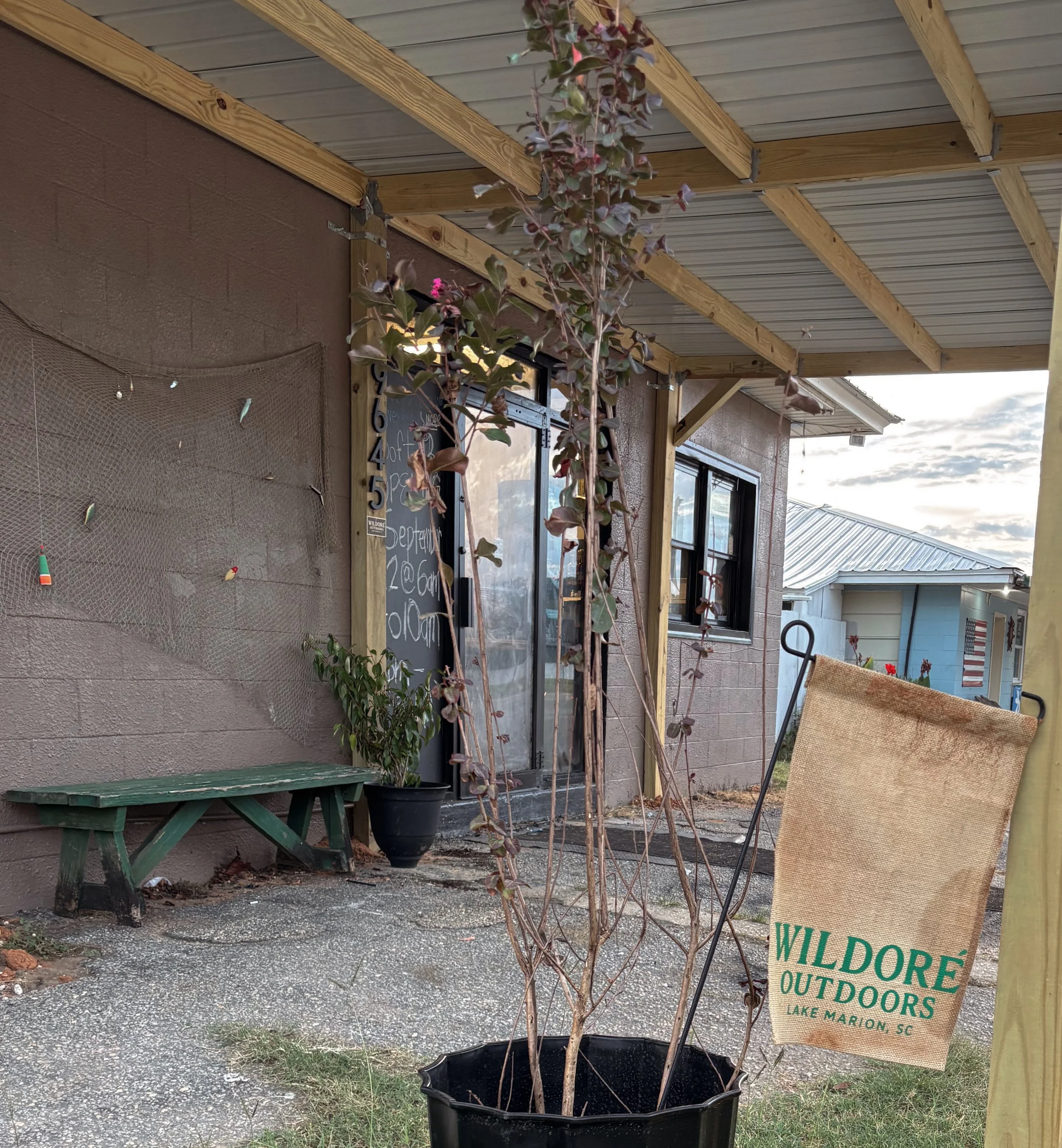 A potted plant with reddish-brown and green leaves in the foreground, on a porch with a green bench and a blackboard with writing, beside a window and a sign reading 'WILDORE OUTDOORS LAKE MARION, SC', under a wooden roof extension.