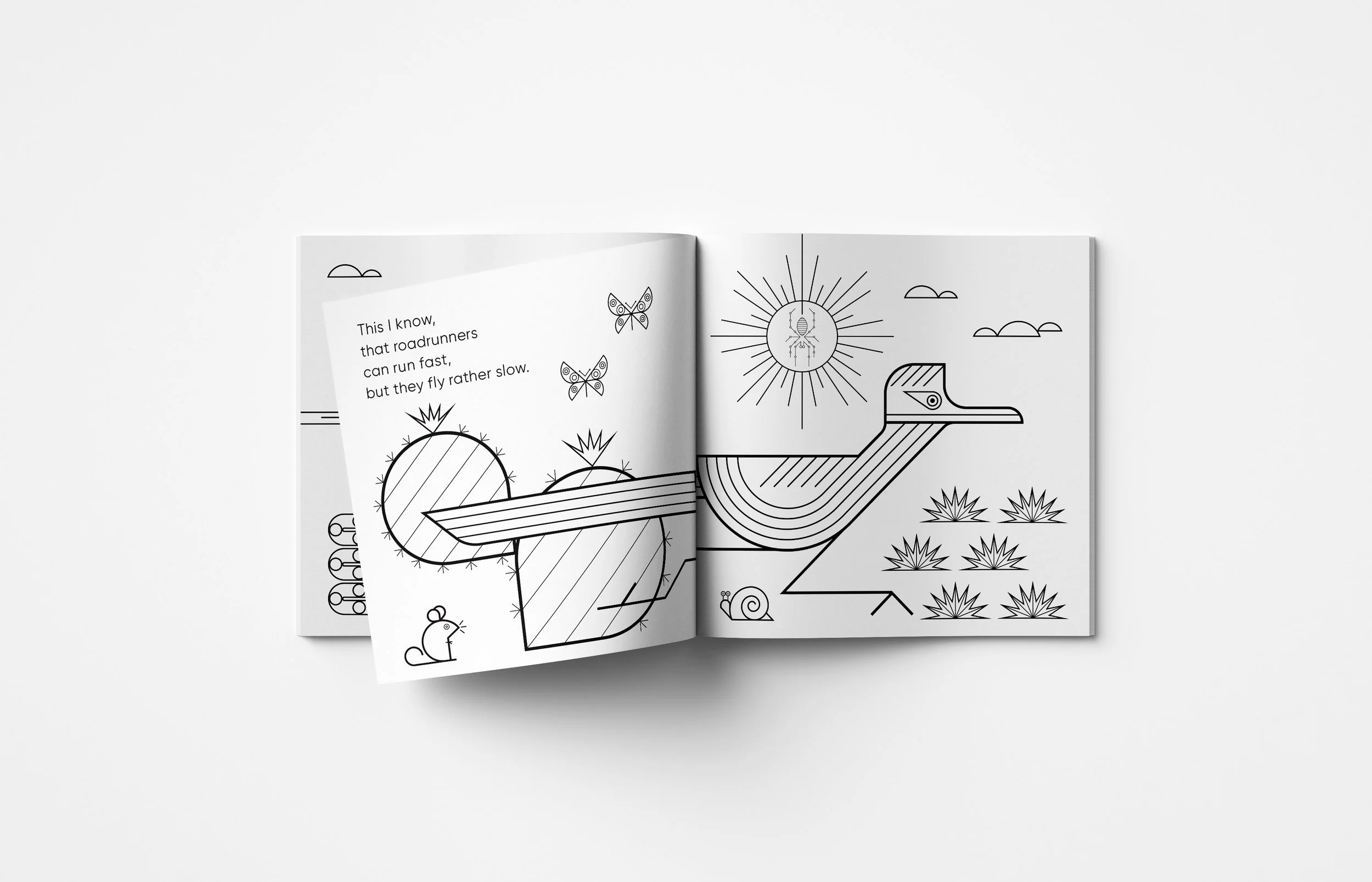 Roadrunner_ColorBook_PB_Mockup_Interior copy.jpg