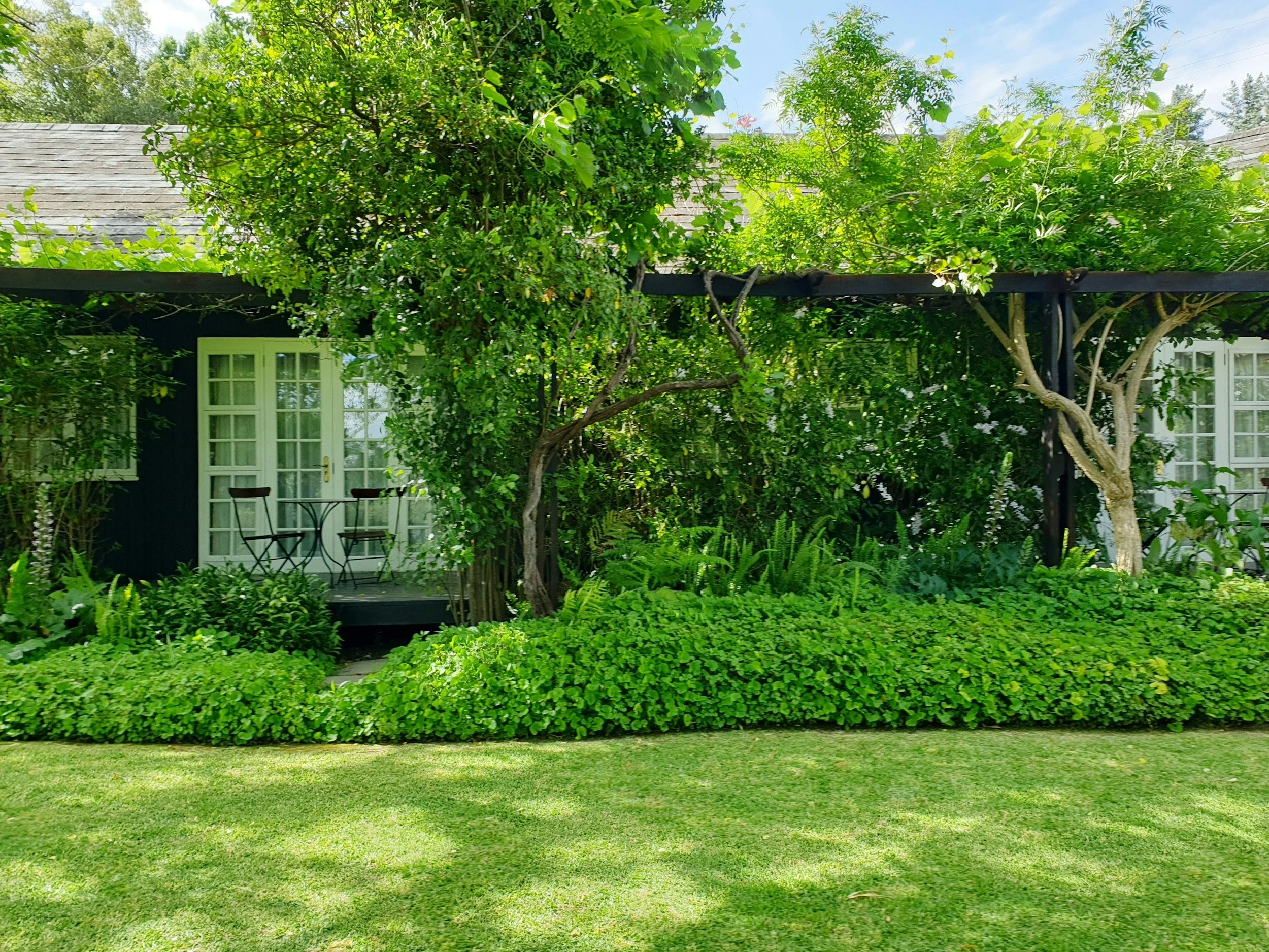 A backyard with a lush green lawn, a small porch with two chairs and a table, and a dark-colored house with large windows and glass doors, surrounded by dense greenery and trees.