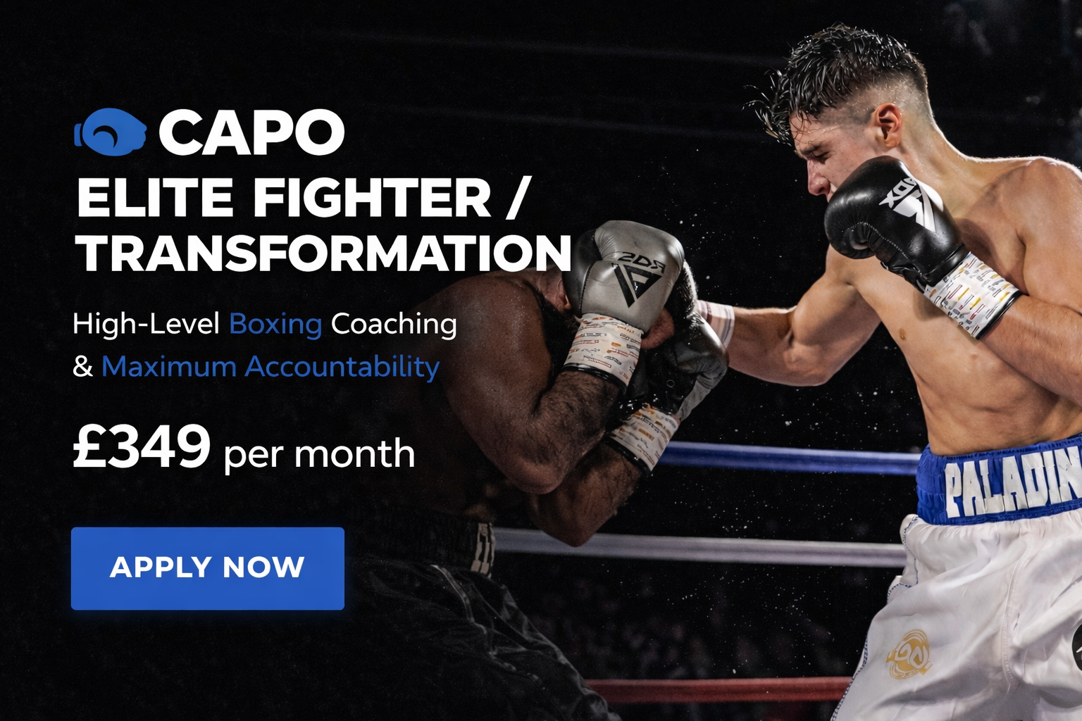 CAPO ELITE FIGHTER / TRANSFORMATION