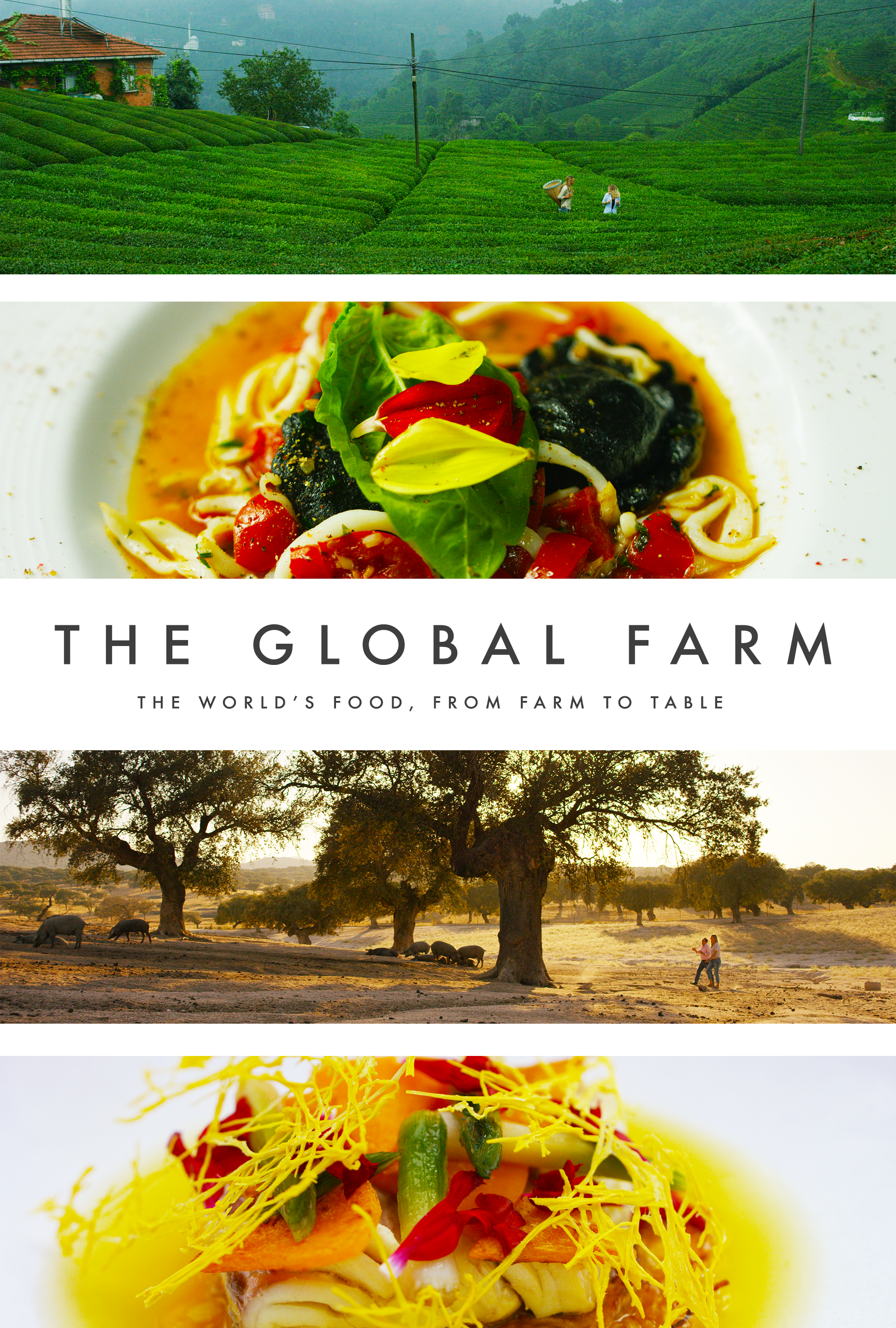 The Global Farm - Director/Producer