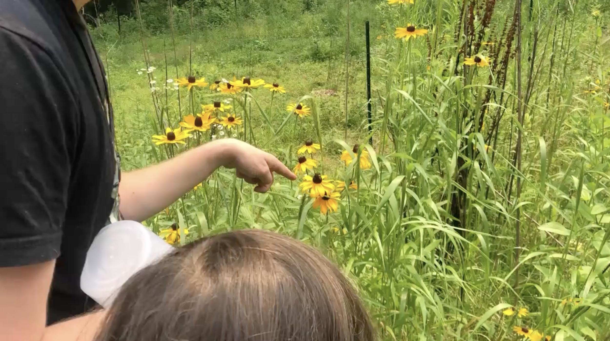 Screenshot 2026-01-16 at 2.28.41 PM.png