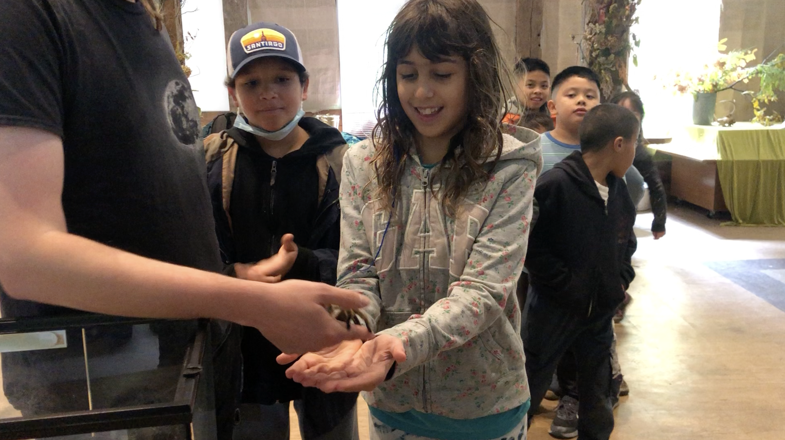 Screenshot 2026-01-16 at 2.33.17 PM.png