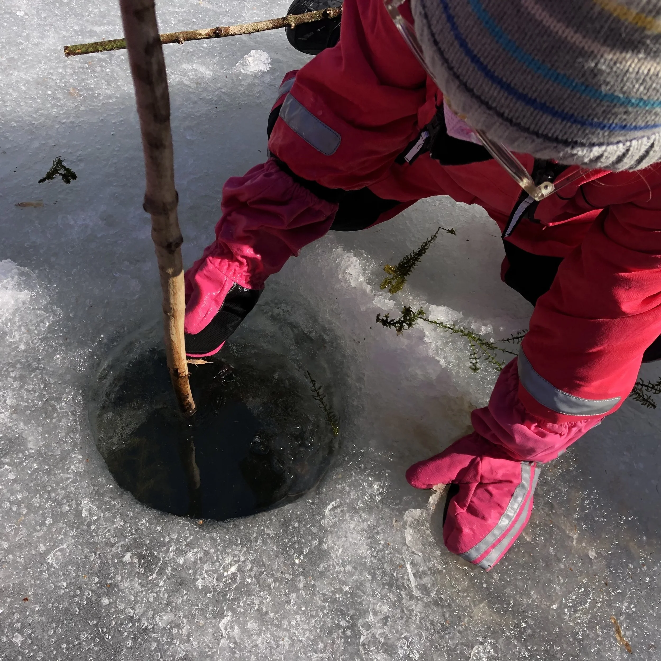 A City to Sanctuary student in pink winter clothing drilling a hole in the ice with a stick, surrounded by snow and ice, holding a small tree branch.