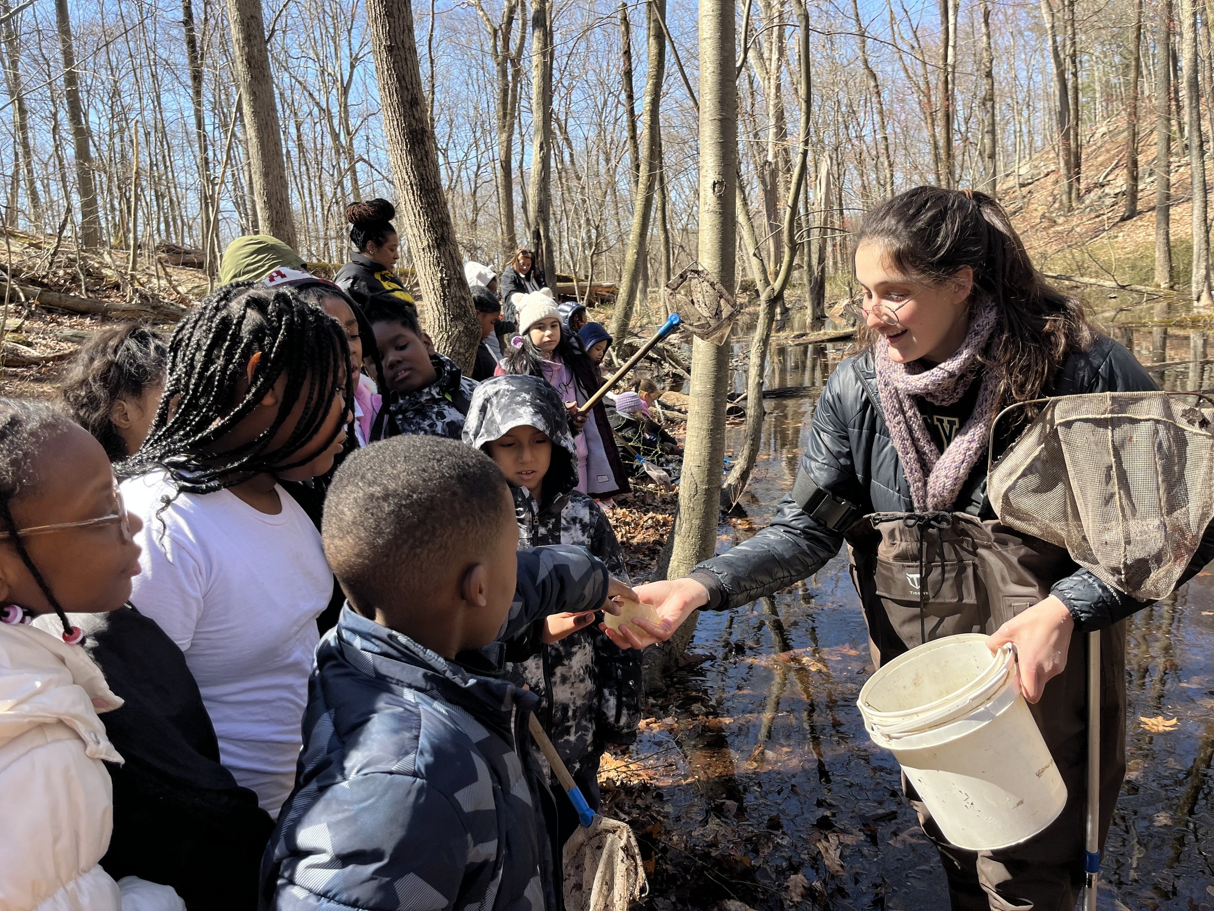 A group of children gathered around a woman scientist by a creek in a forest, engaging in nature exploration and possibly observing aquatic life.