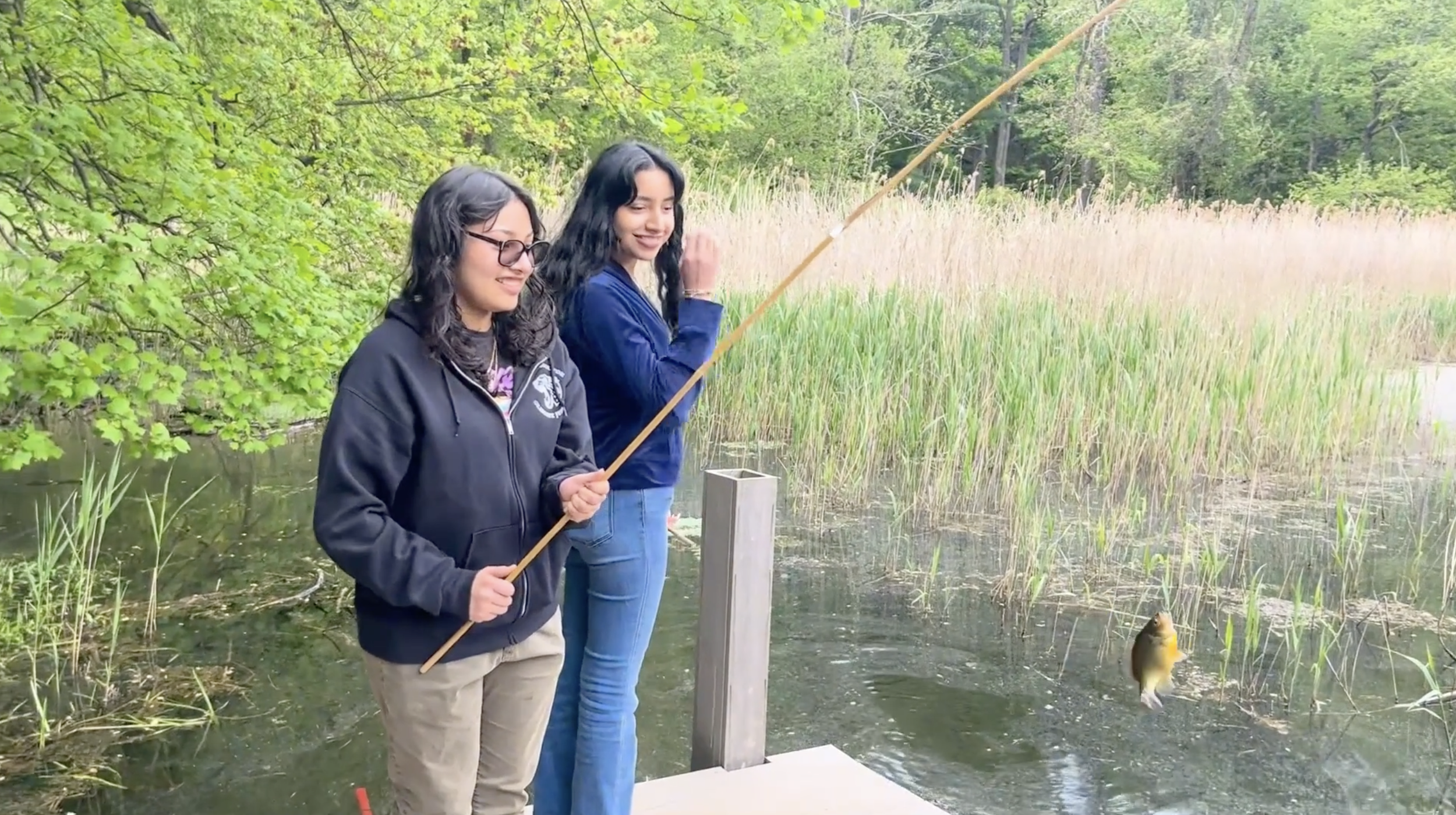 Screenshot 2026-02-04 at 4.18.06 PM.png