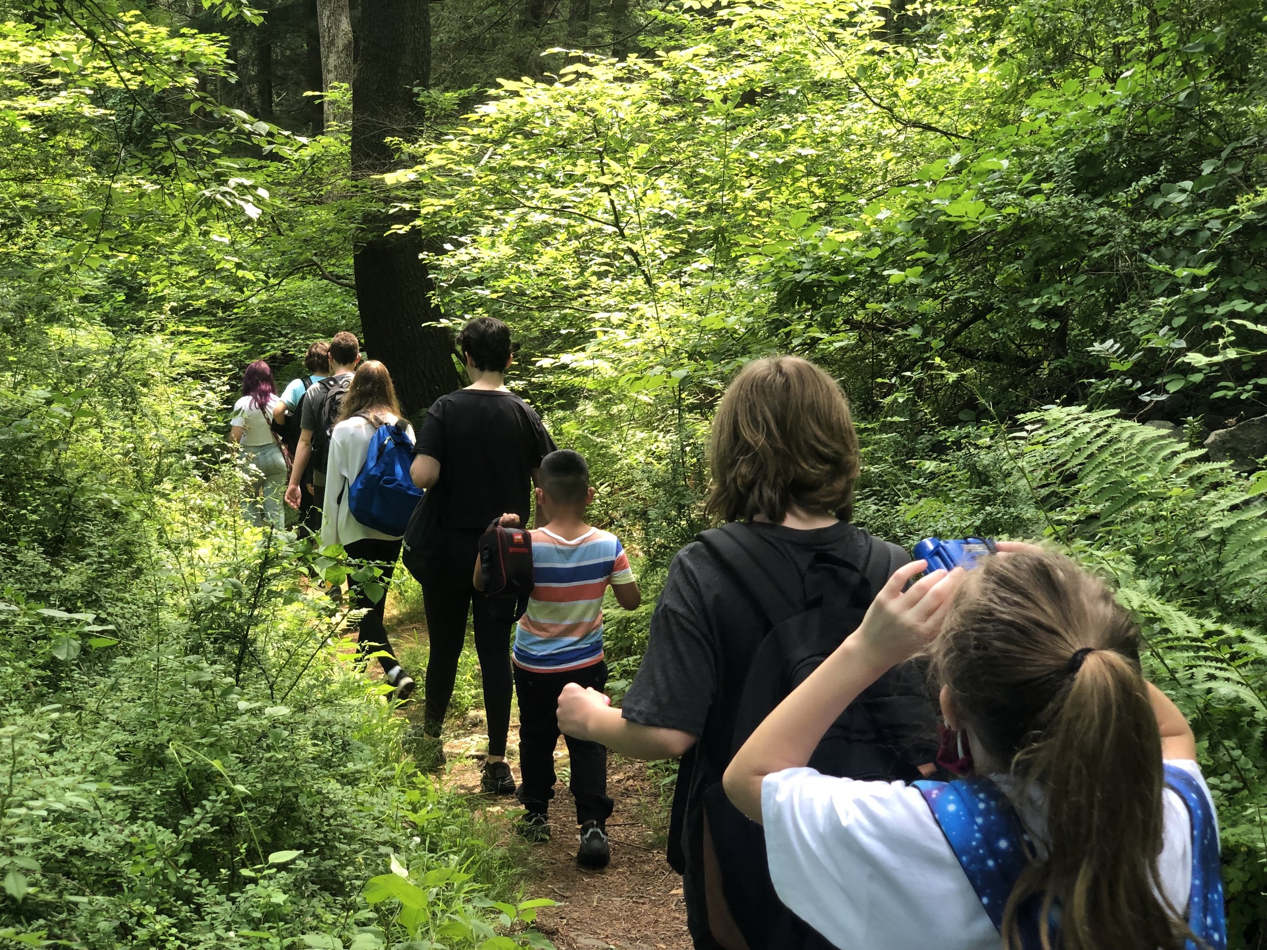 A group of children and teenagers walking along a forest trail surrounded by green foliage.