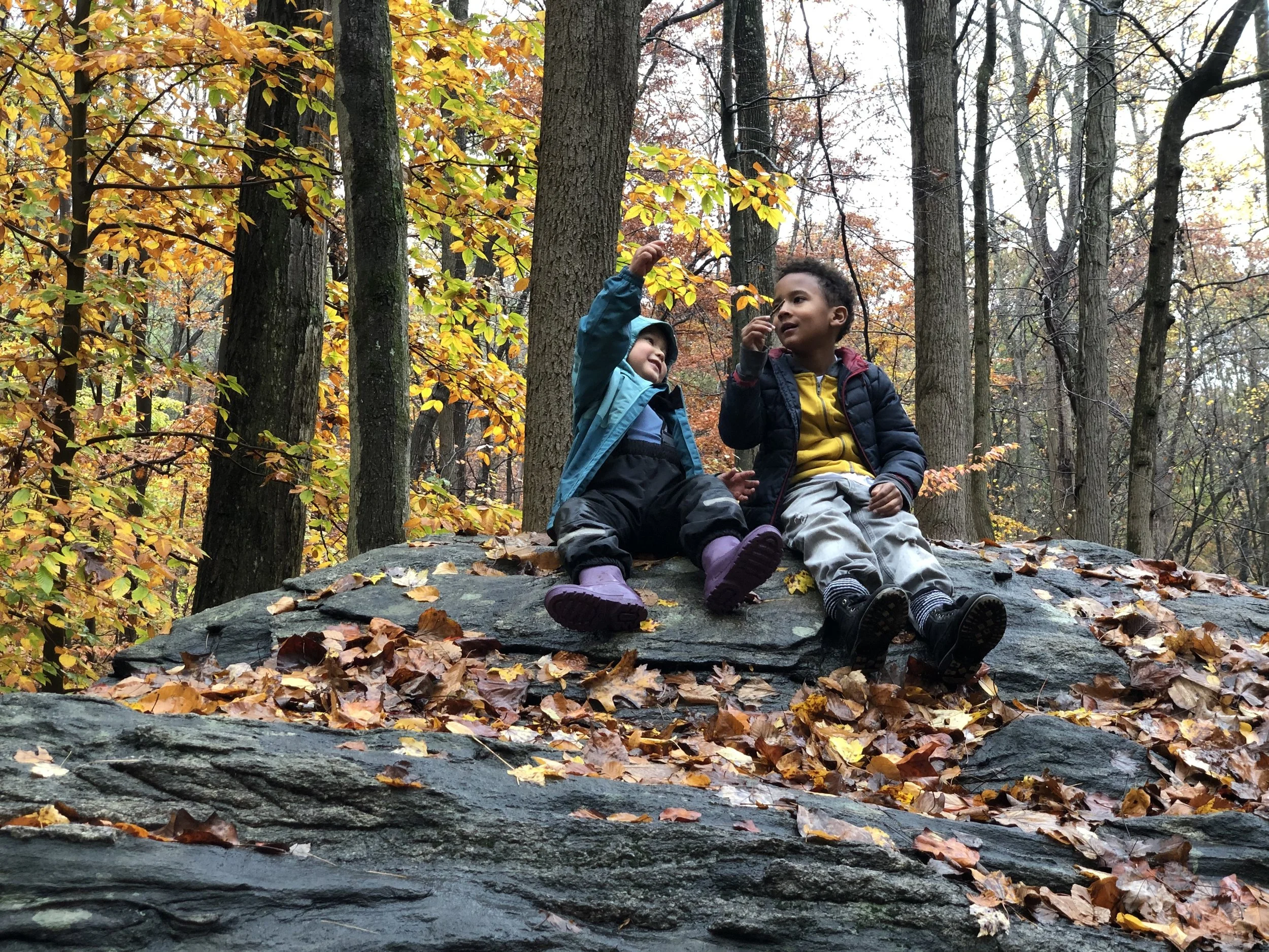 Two children sitting on a large rock in a forest, surrounded by autumn leaves, talking and pointing at something in the trees.
