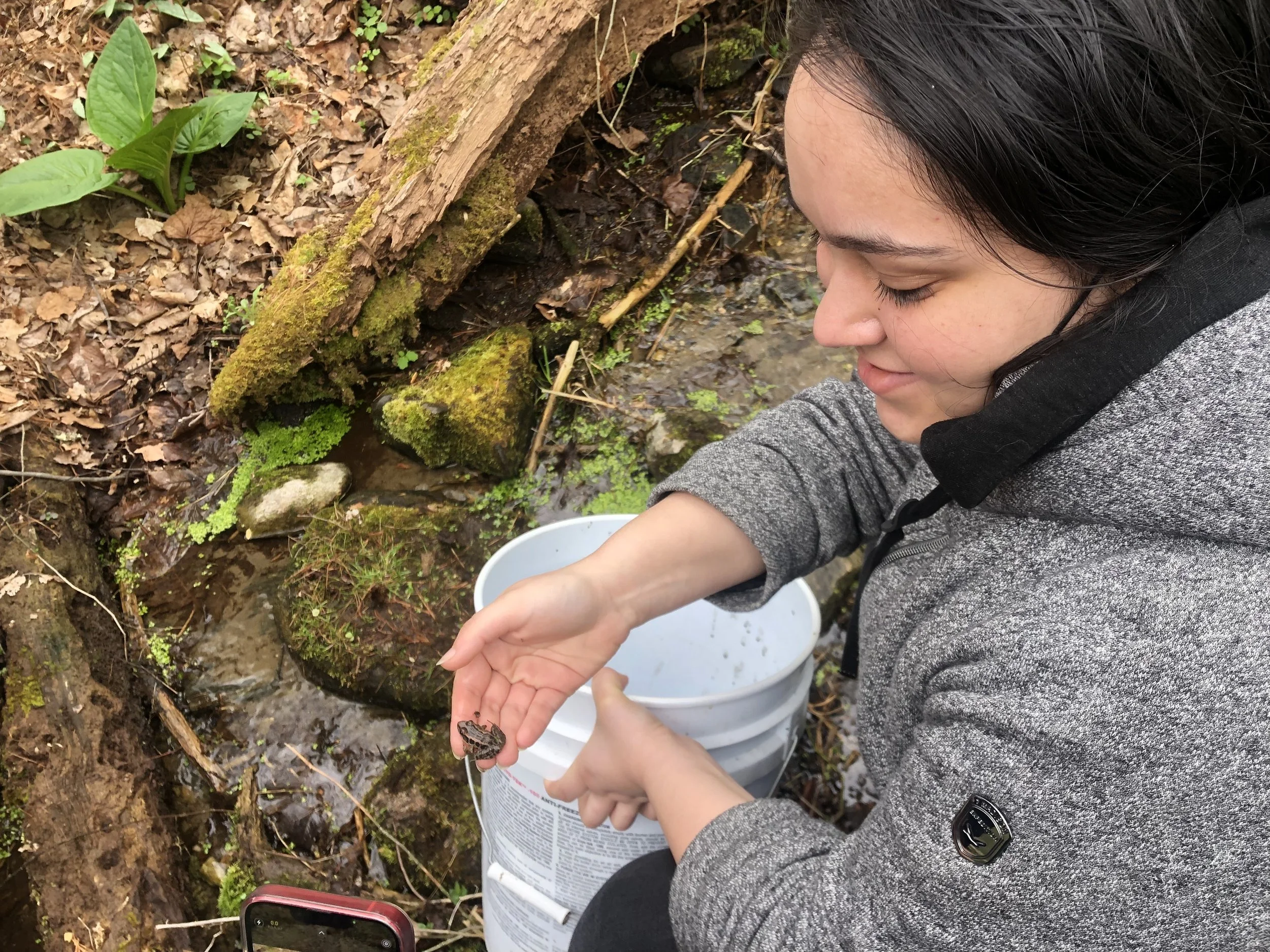 A public school student sitting by a small creek in a forest, holding a butterfly with textured wings on her finger during a City to Sanctuary program.