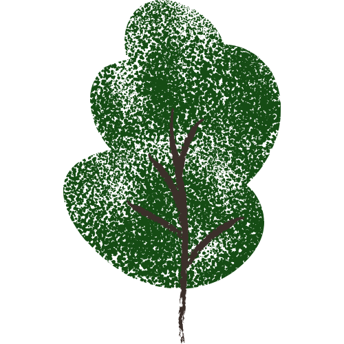 A green tree with a brown trunk and multiple rounded foliage clusters.