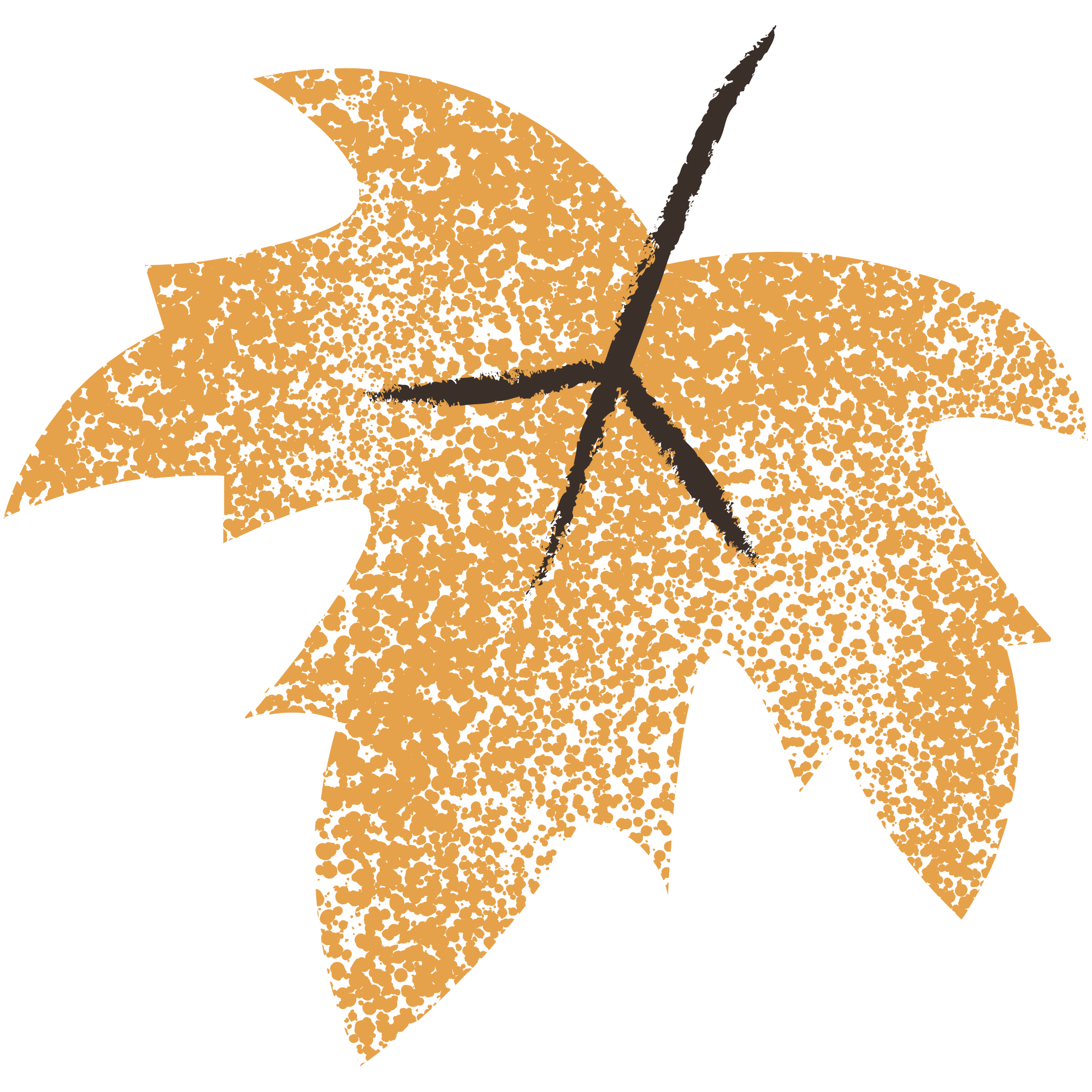 Illustration of a maple leaf with a textured pattern on a black background.