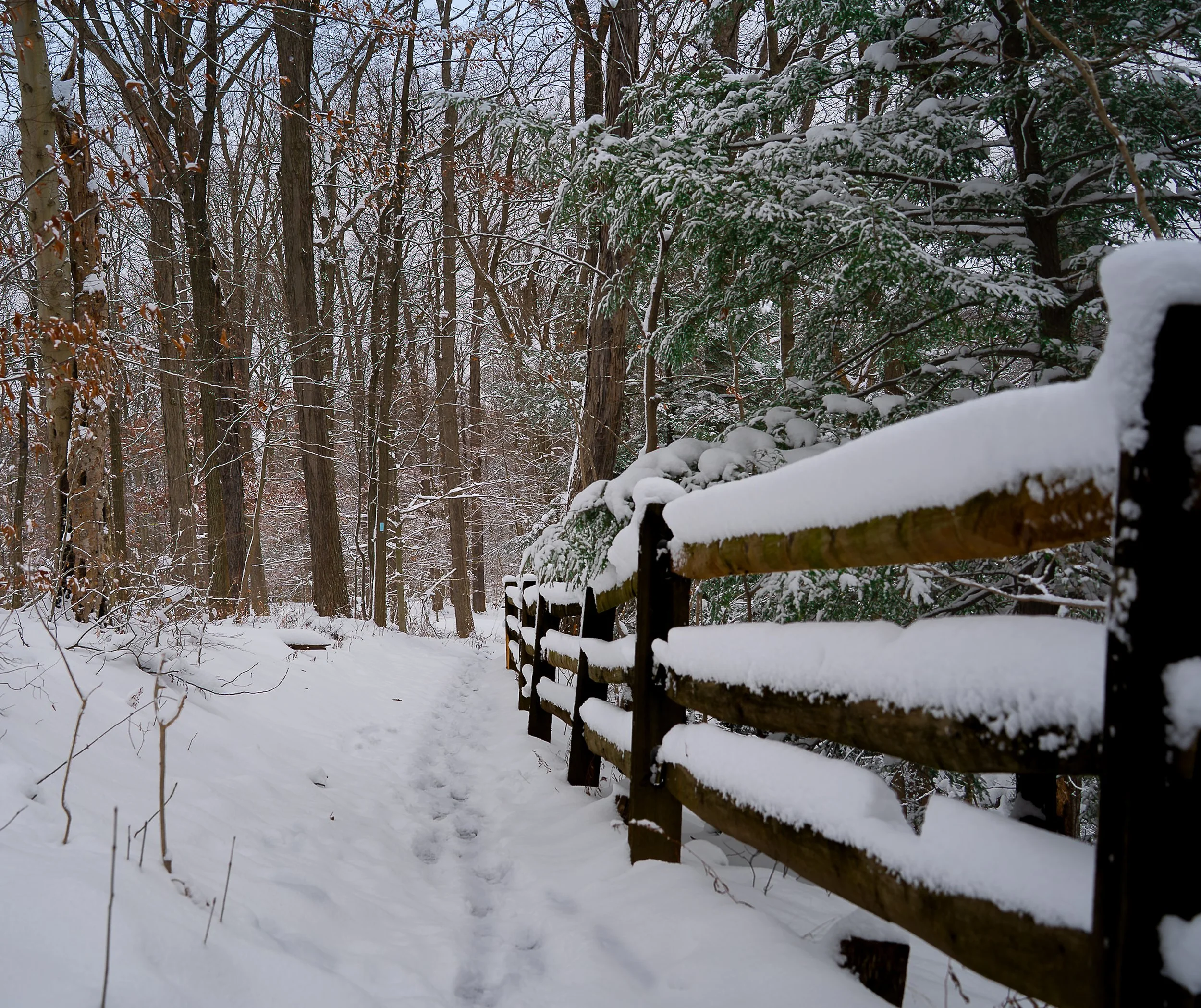 Bedford Reservation
Ohio, USA