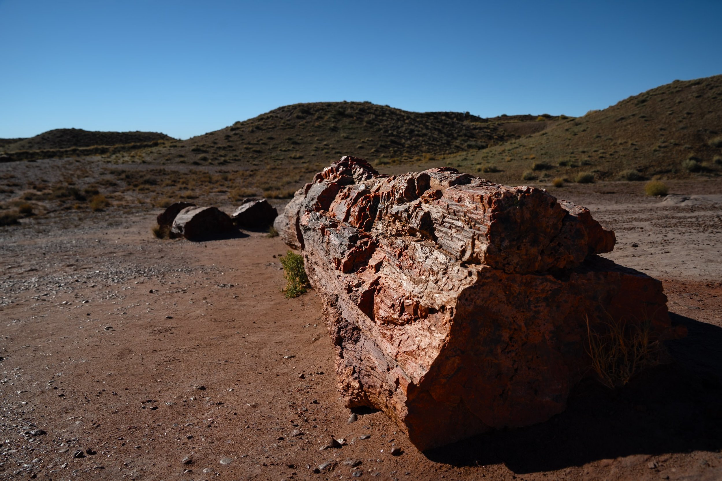 Petrified Forest National Park
Arizona, USA