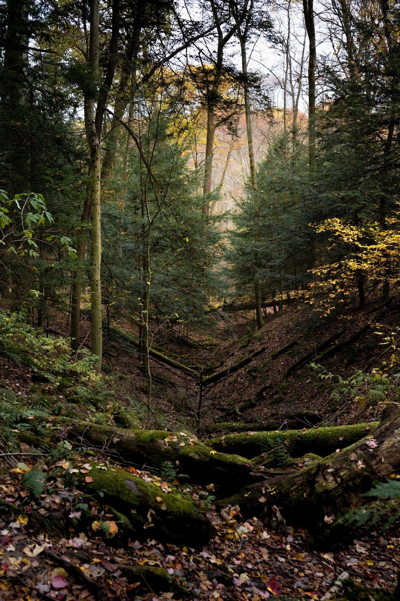 Ledges State Park
Akron, Ohio, USA