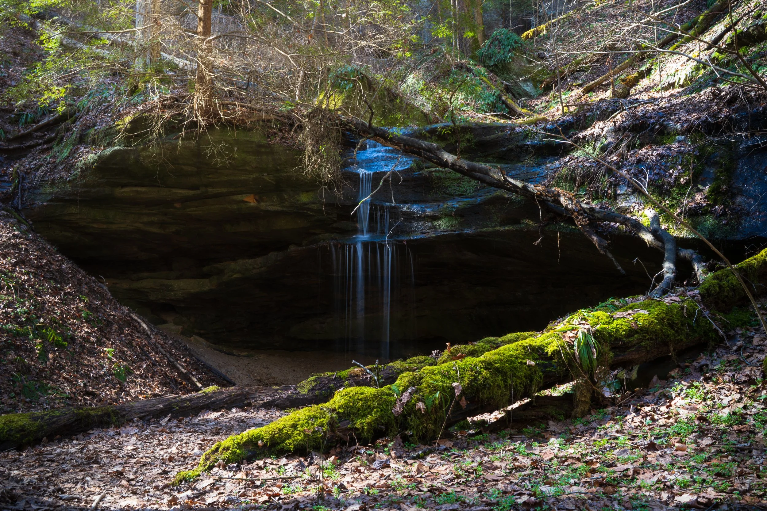 The Midwestern Nature Photography Survival Guide