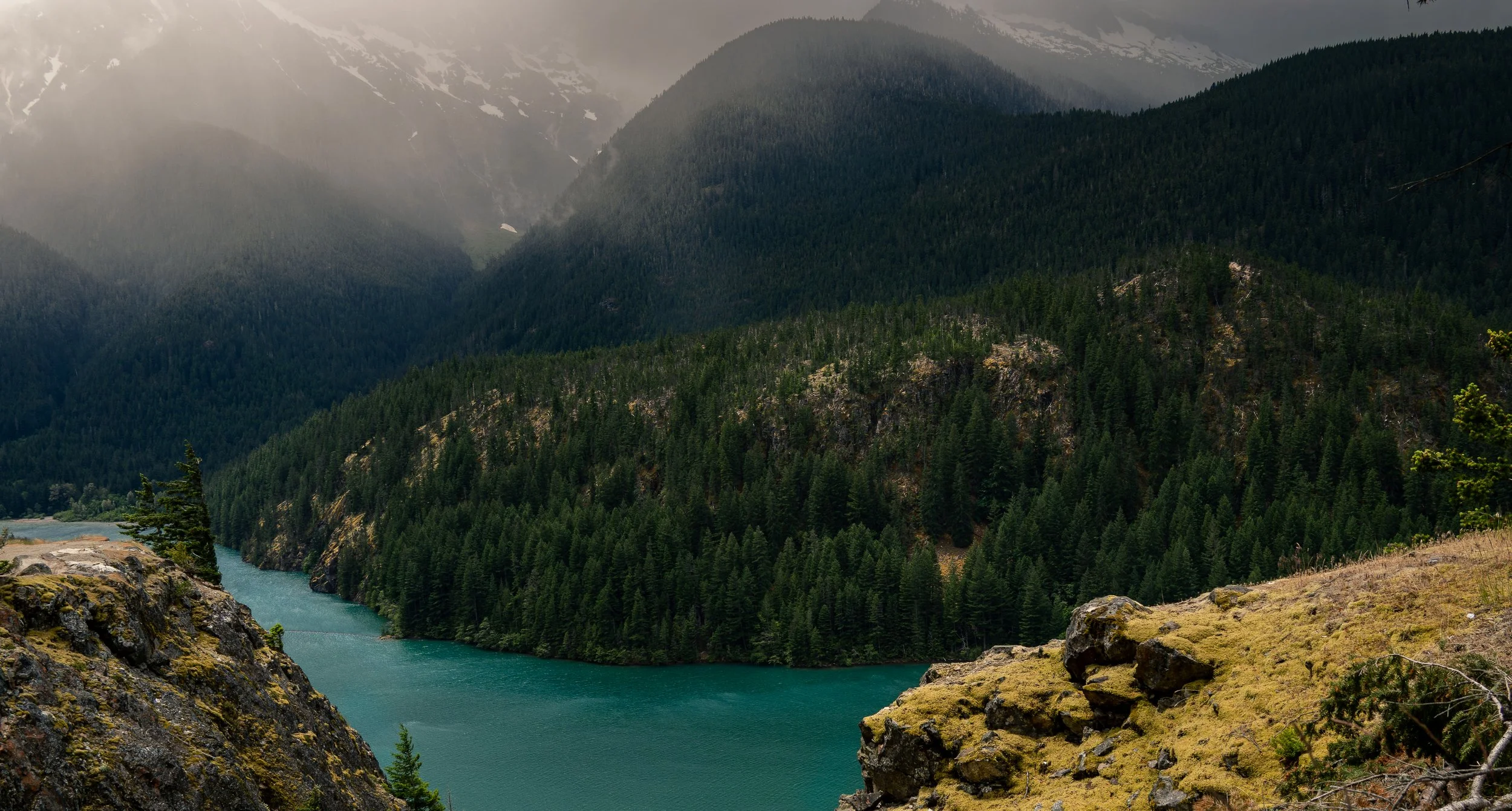 Washington Portfolio -50.jpg