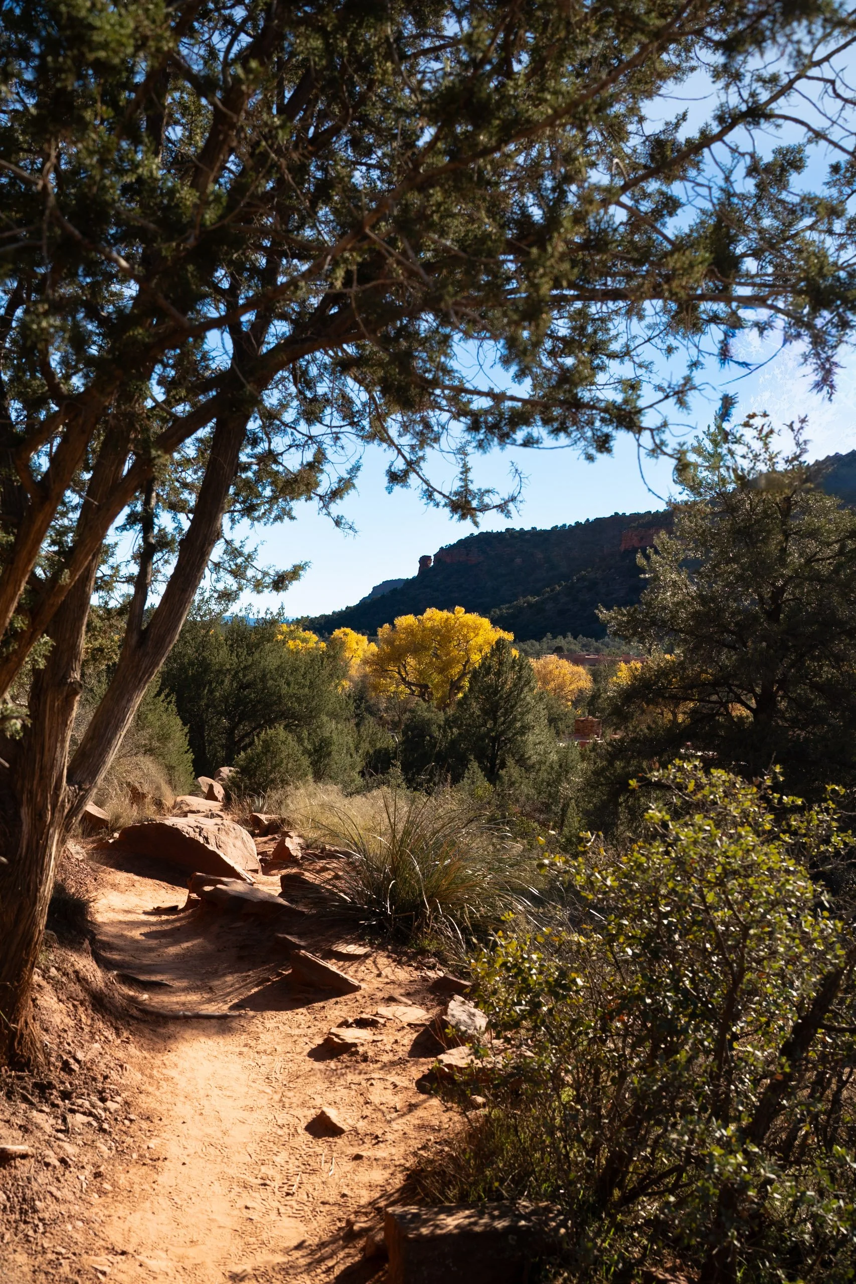 Boynton Canyon, Arizona, USA
