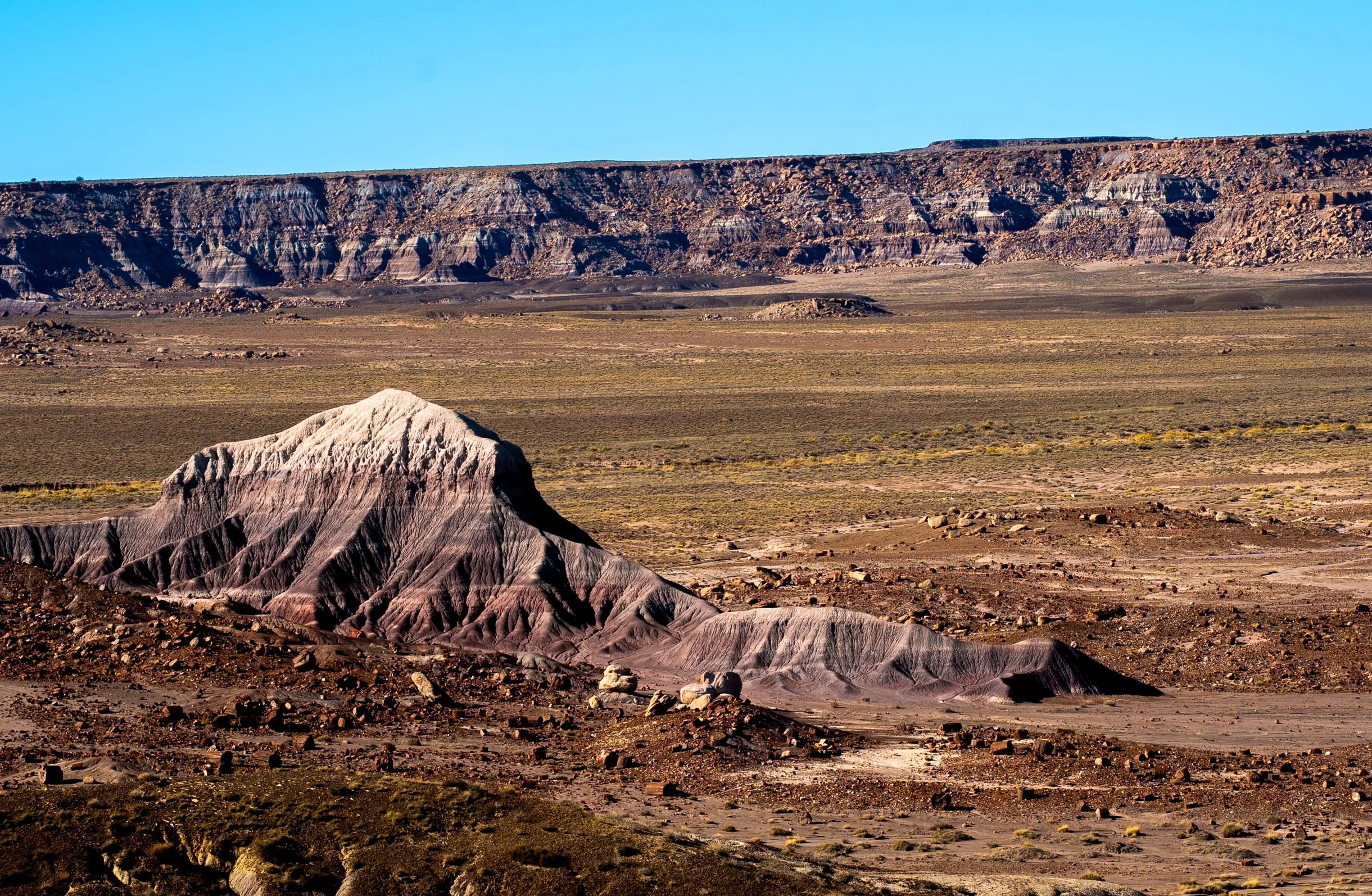 Petrified Forest National Park
Arizona, USA